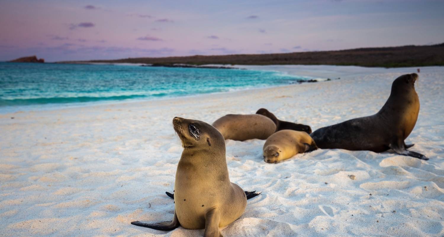 Expedición de 7 días a Galápagos: isla San Cristóbal y Santa Cruz - Ecuador Galapagos Travels