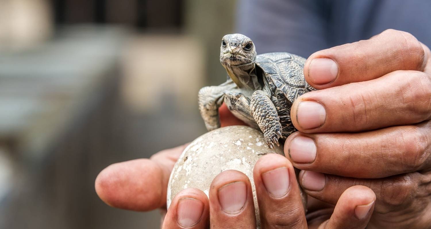 7 Day Galapagos Islands Tours & Trips