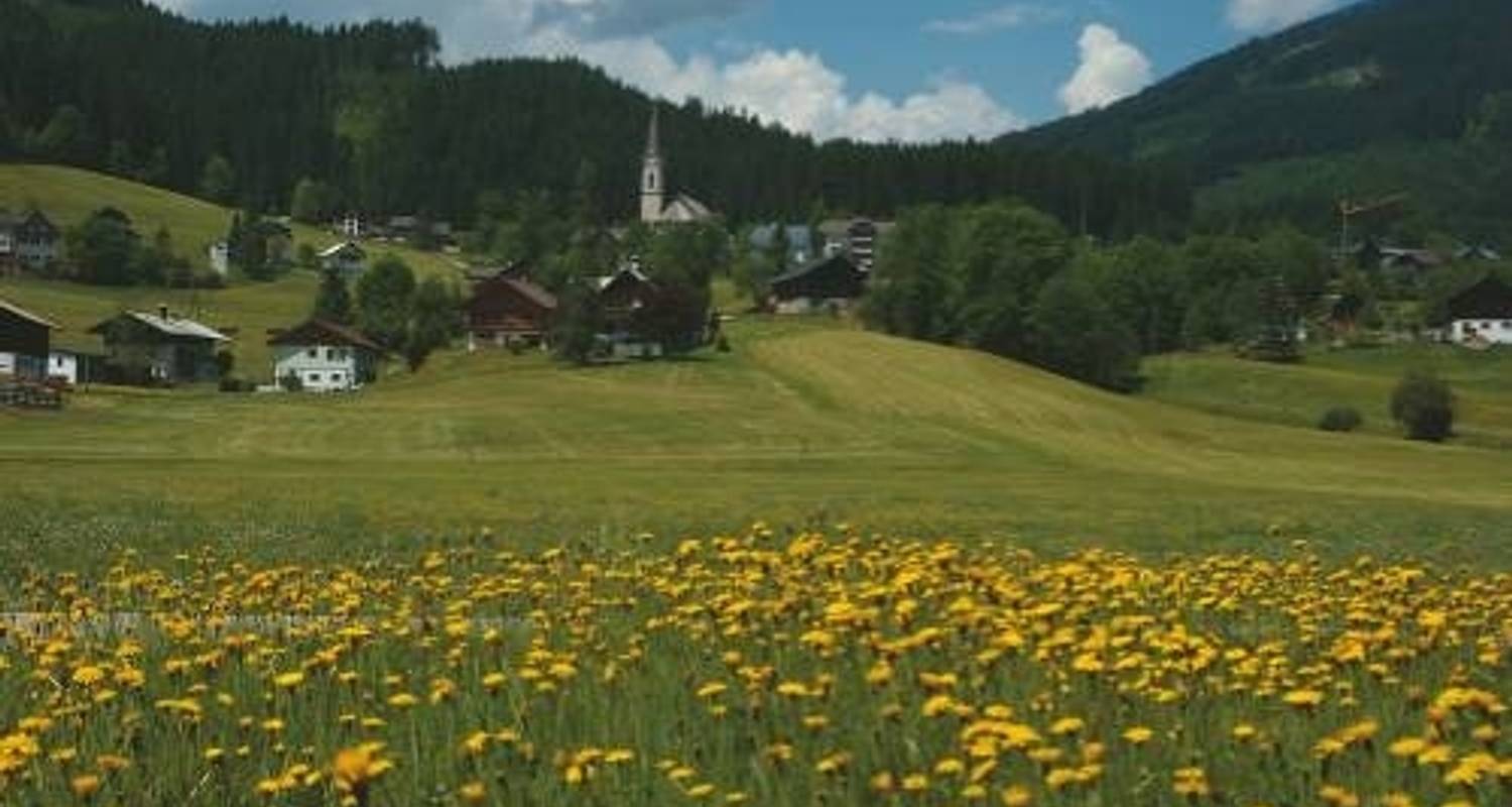 De Passau à Vienne en vélo - UTracks