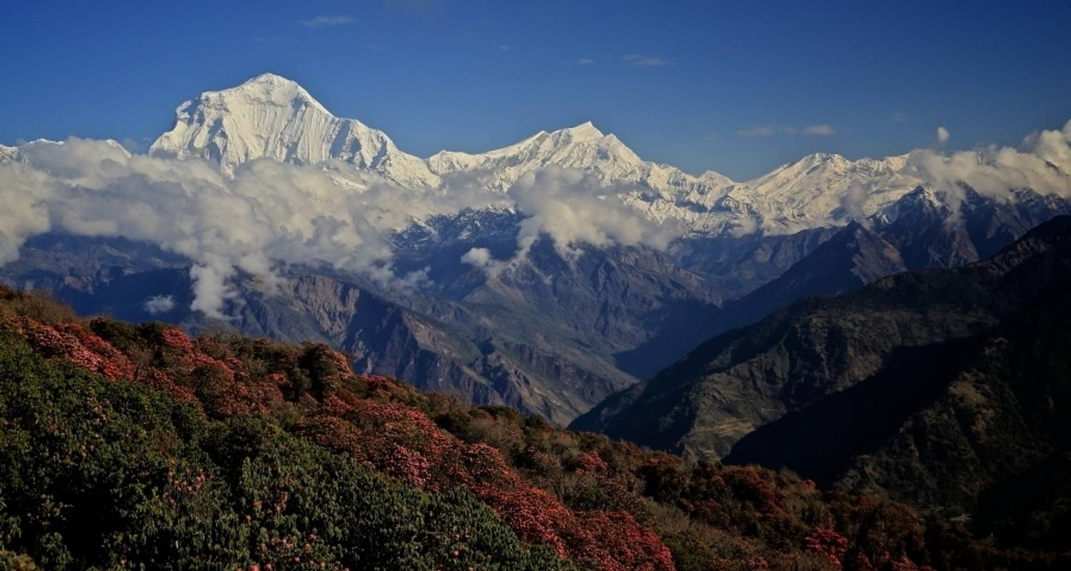 Ghorepani Poon Hill Trek - Breakfree Adventures Pvt. Ltd.