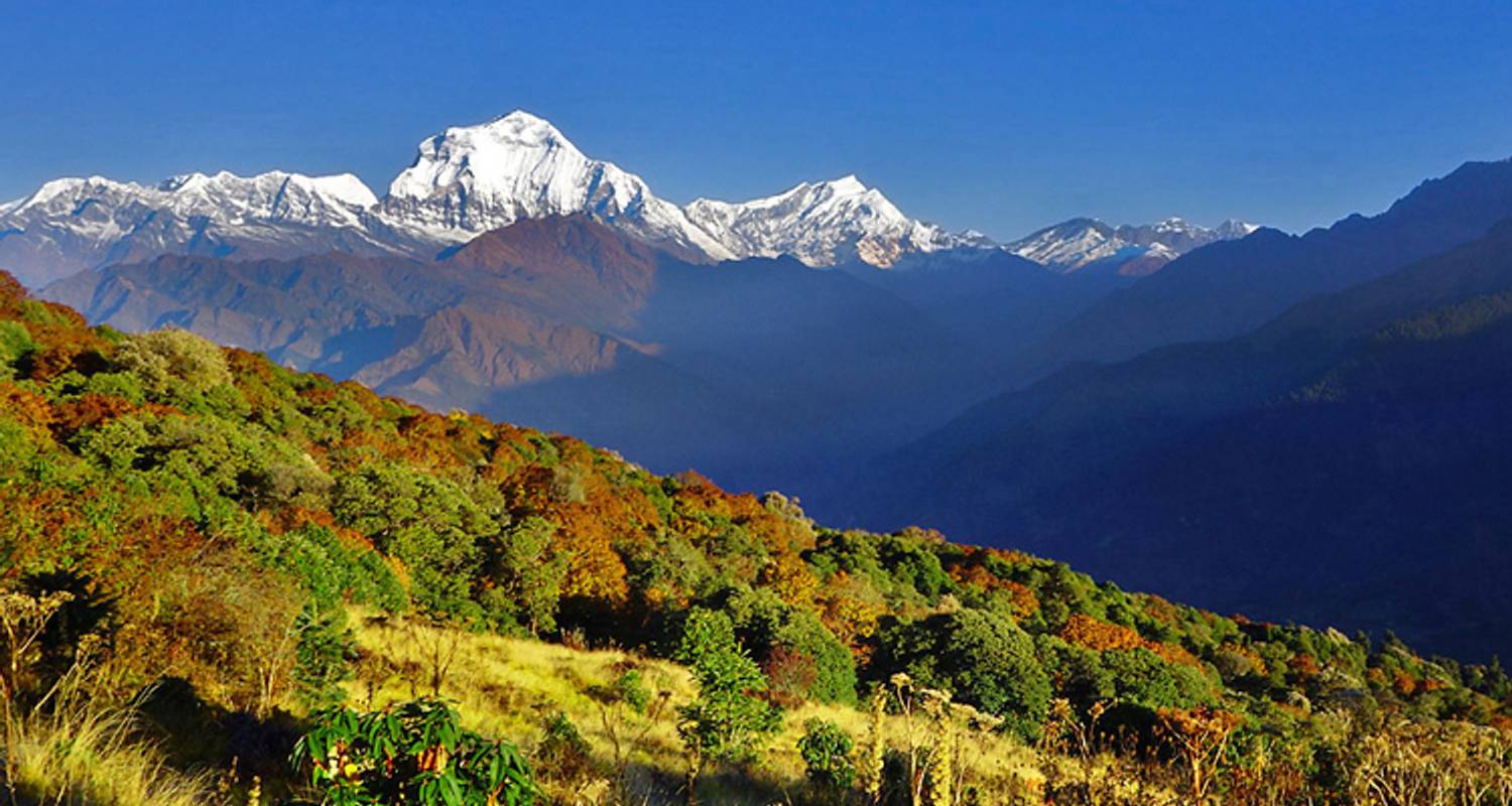 Ghorepani Poon Hill Trek - Adventure Himalayan Travels