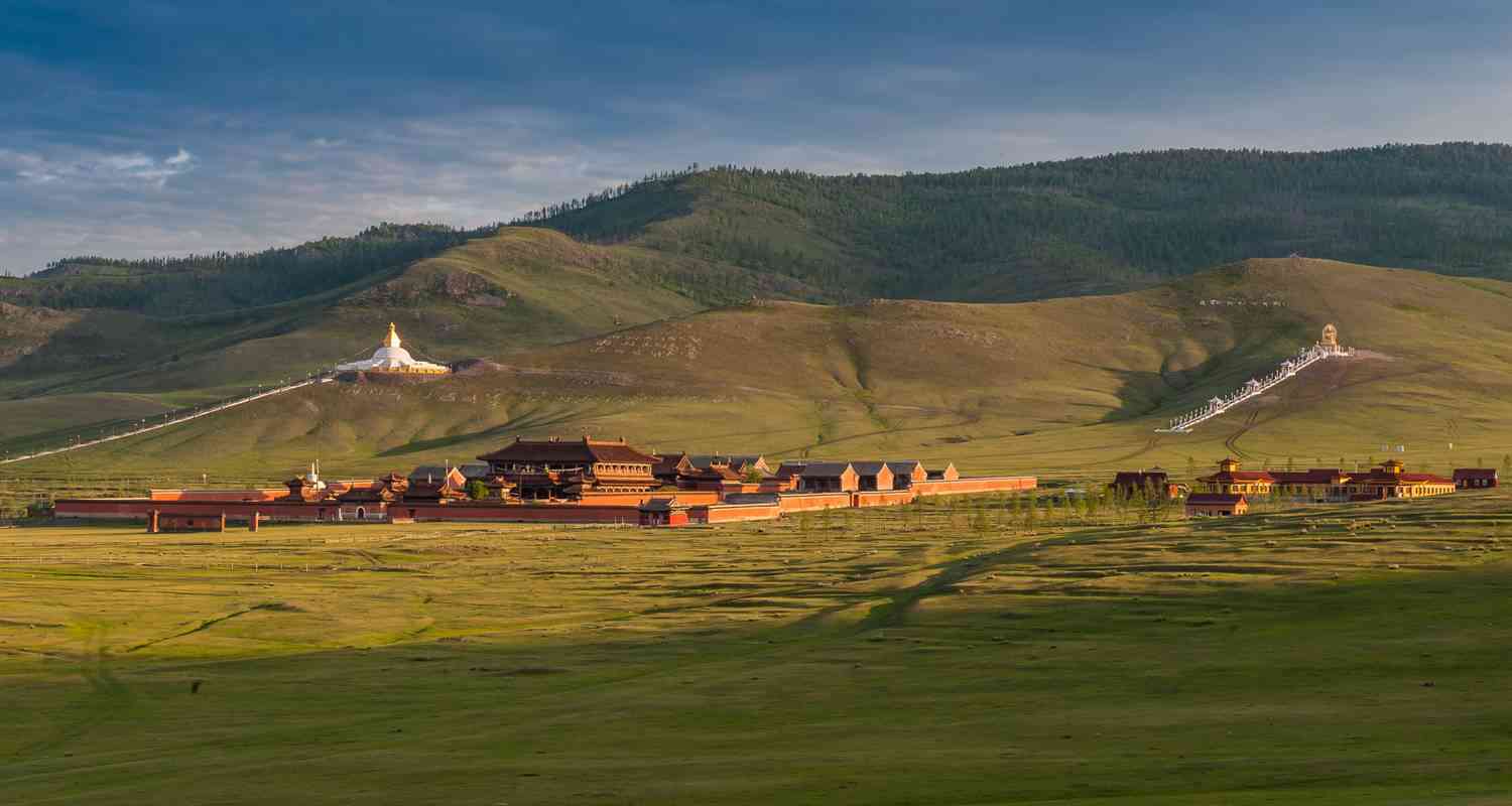 Wellfield Монголия