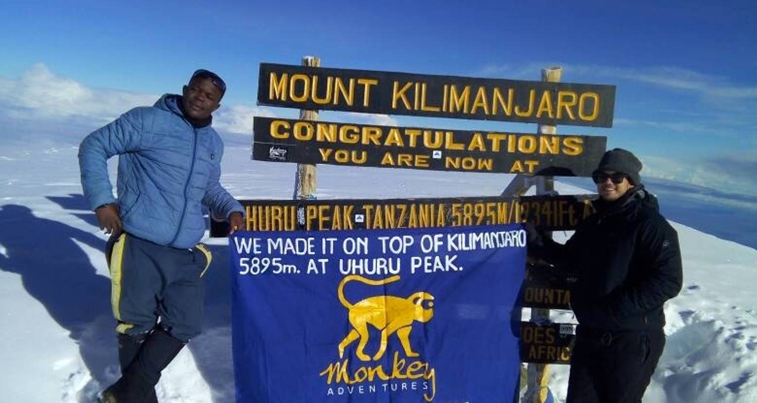 Lemosho 7 Days By Monkey Adventures With 1 Tour Review Tourradar