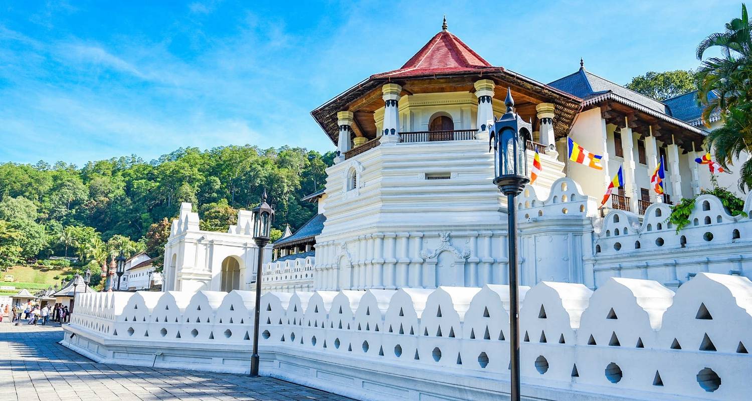Exclusive Grand Tour Of Sri Lanka