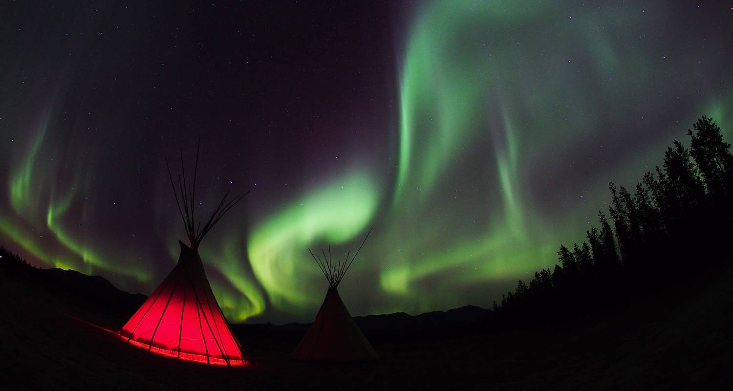 Best Value Aurora Viewing | Wildlife & Hot Springs - Arctic Range Adventure