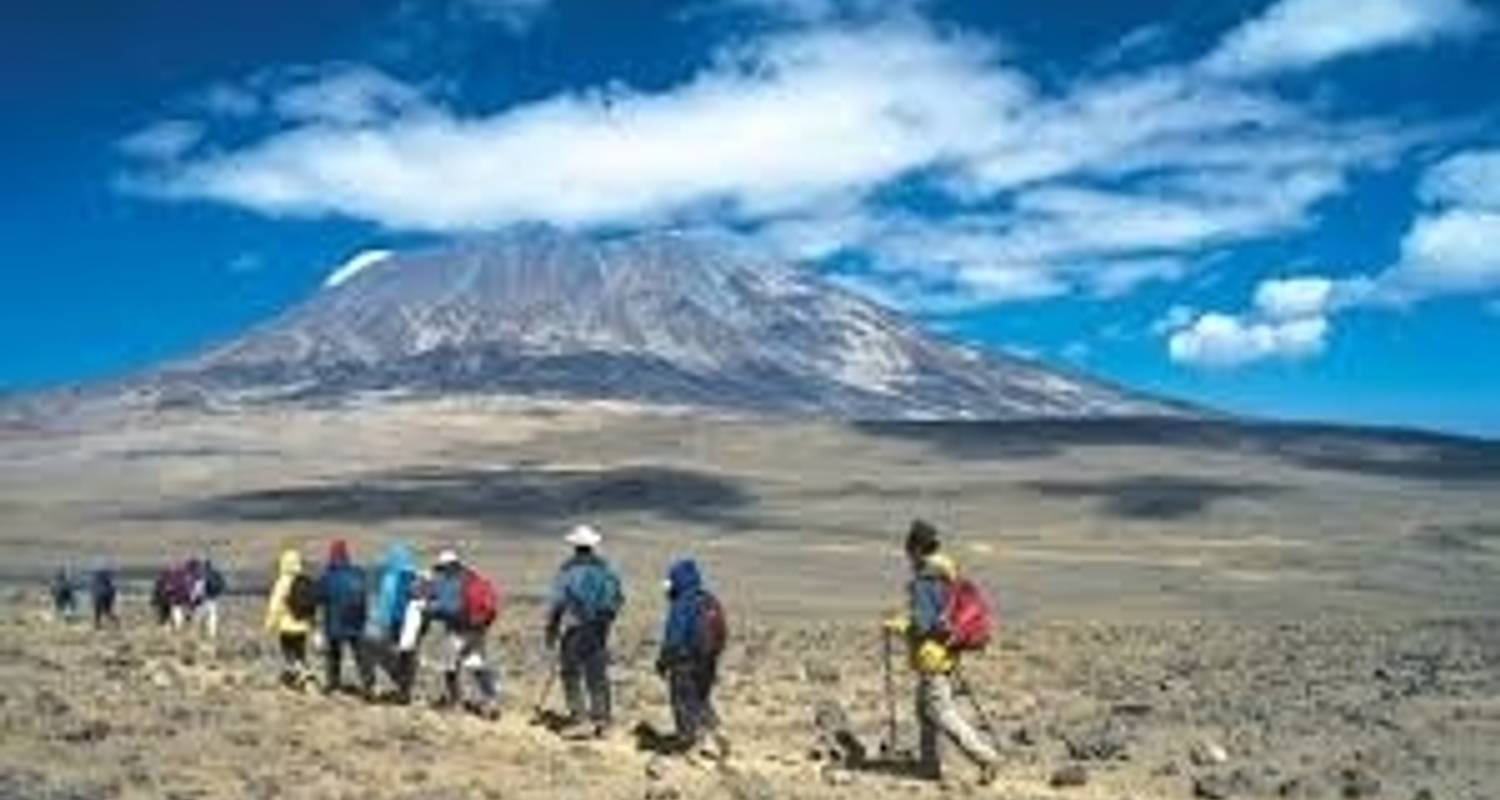 Acampada circuitos en Ruta Marangu