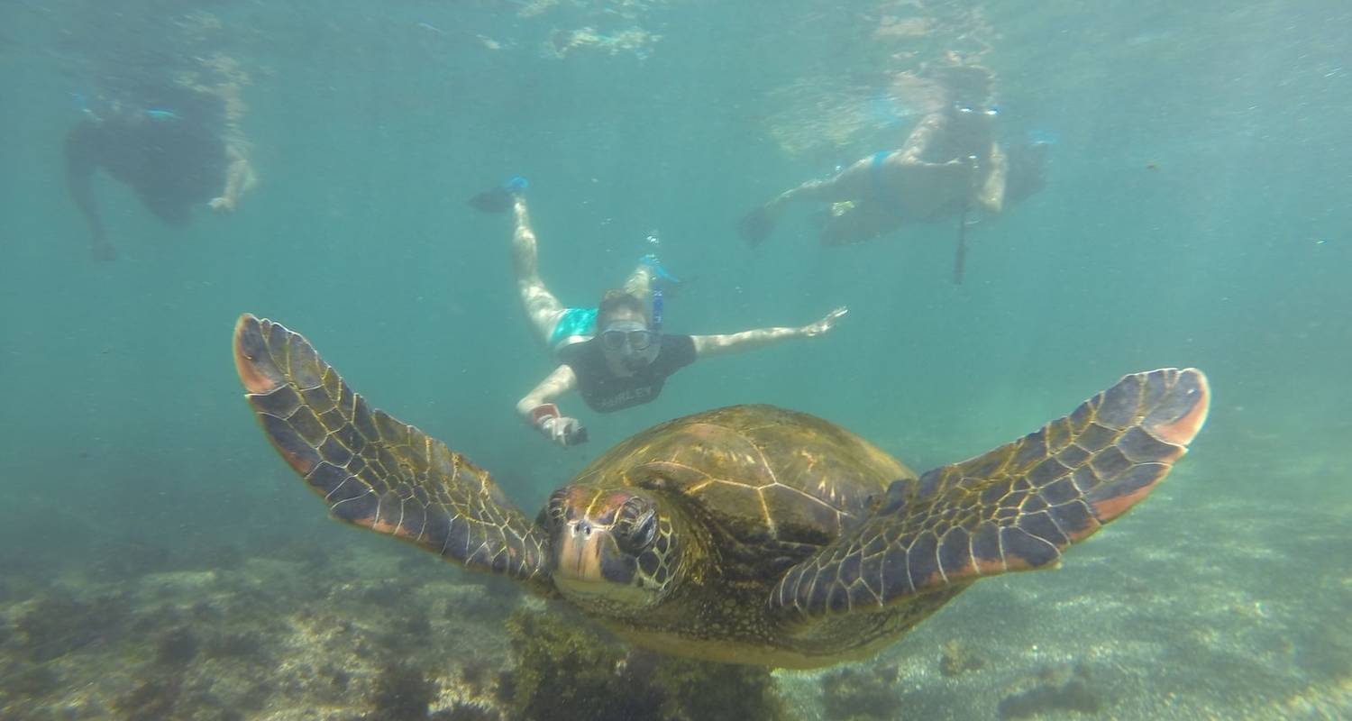 7 Day Galapagos Island Hopping Classic - Rebecca Adventure Travel