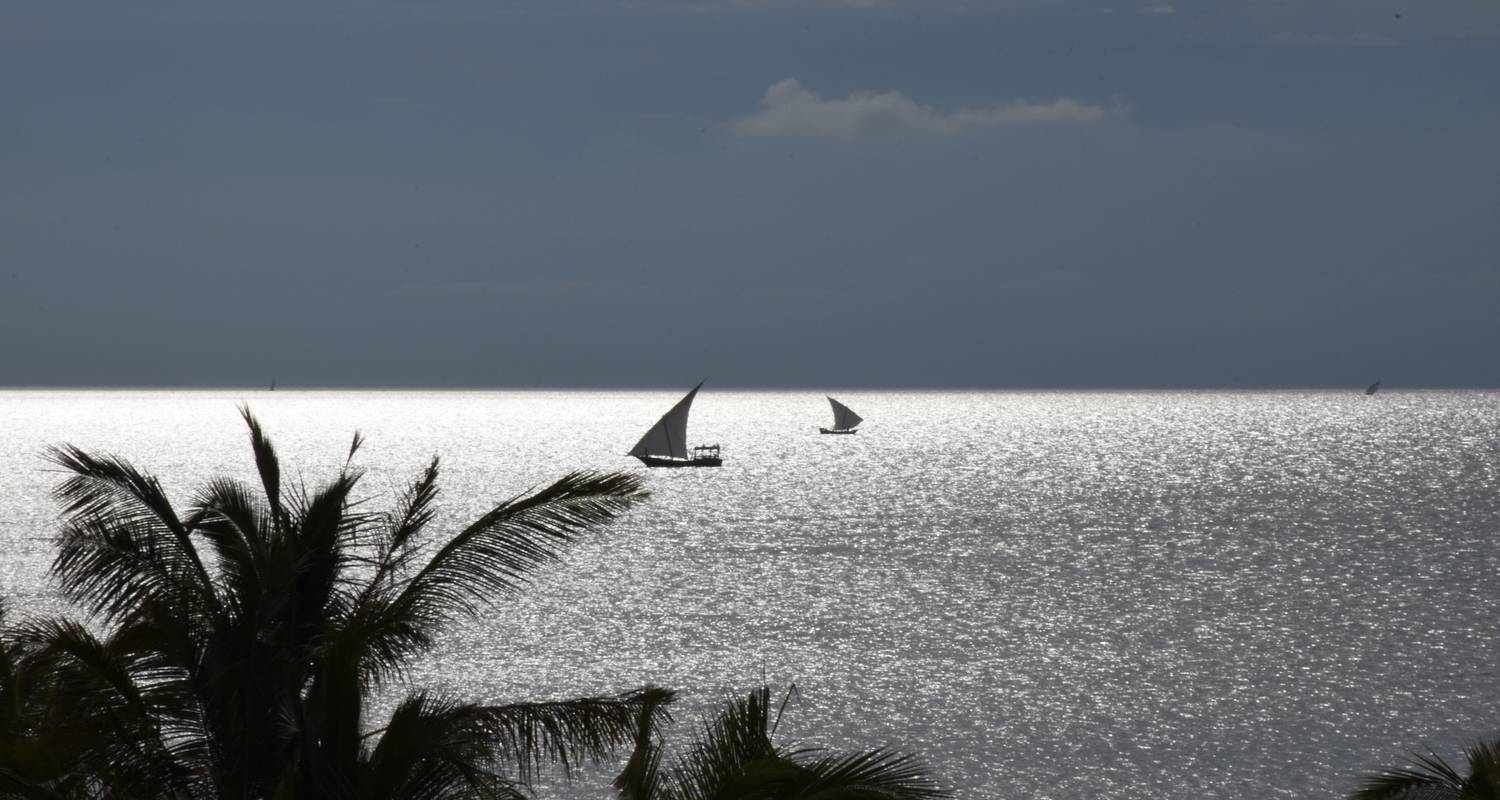 Tanzania to Zanzibar: White Sands & the Wilderness