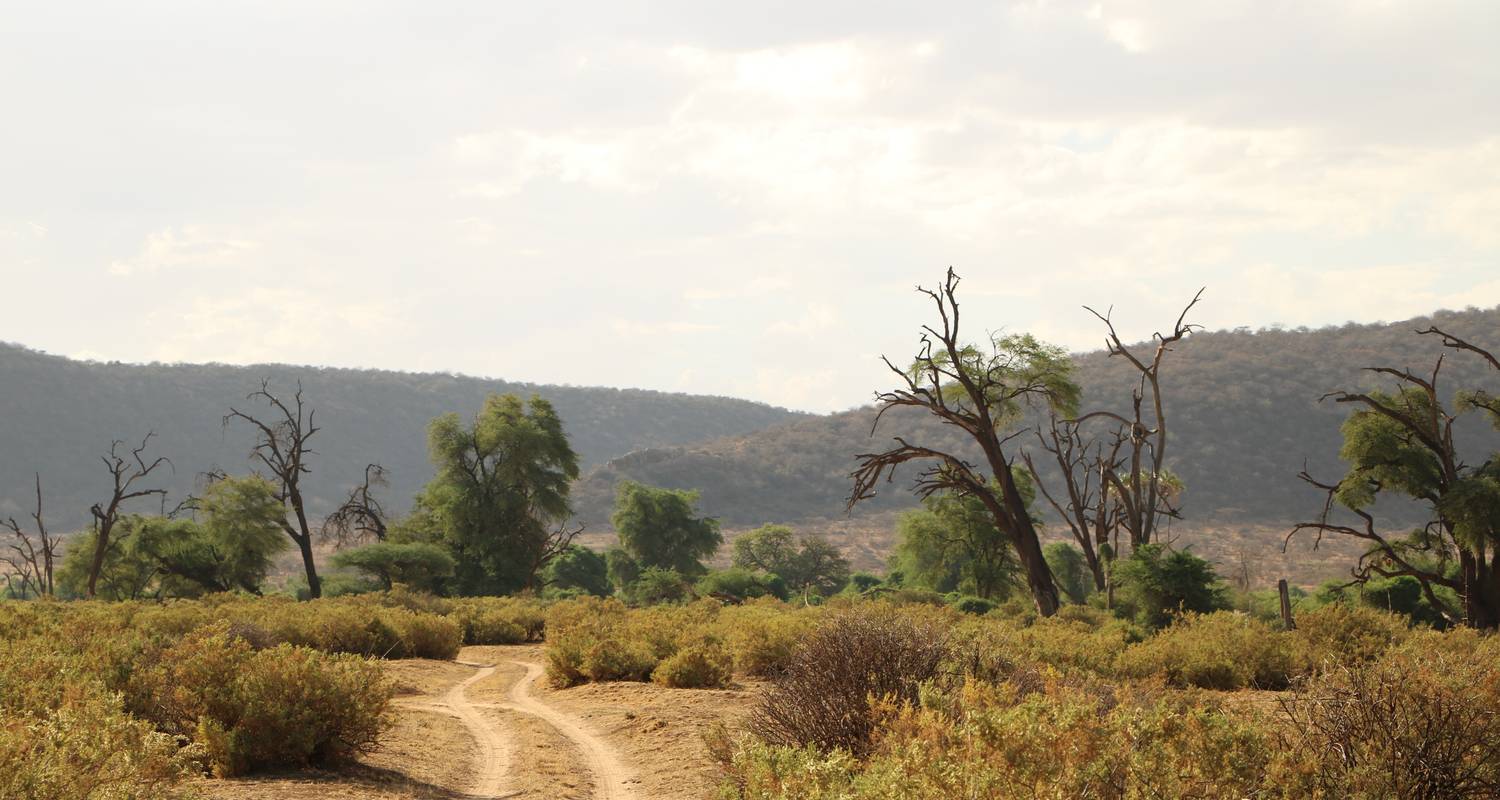 Nairobi to Zanzibar: Serengeti & Sunsets