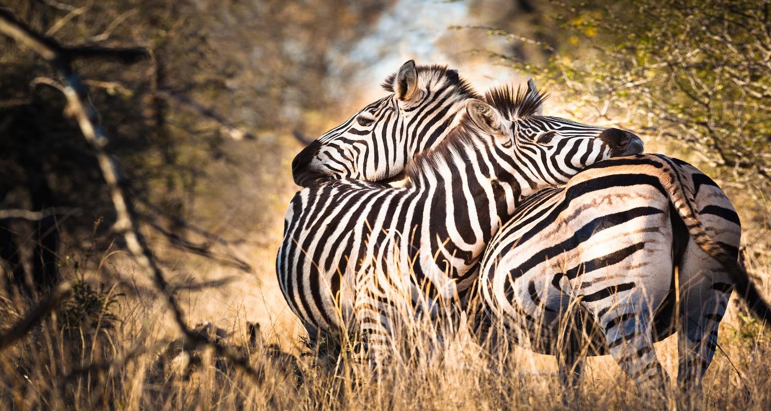 Lo mejor de Sudáfrica - Indus Travels