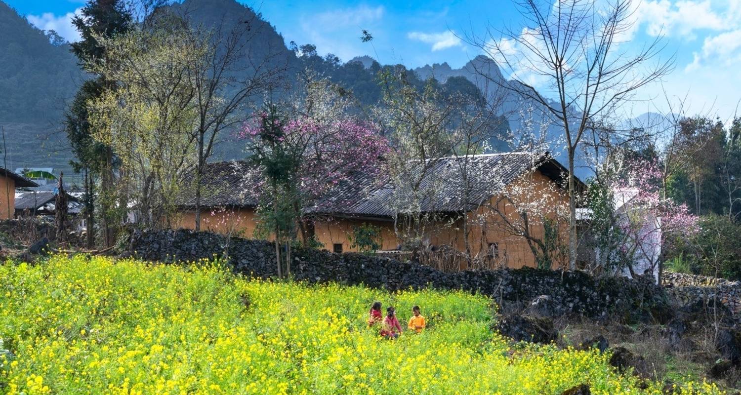 Authentic Experience Ha Giang 3days/3nights - Nhat Long Travel Company