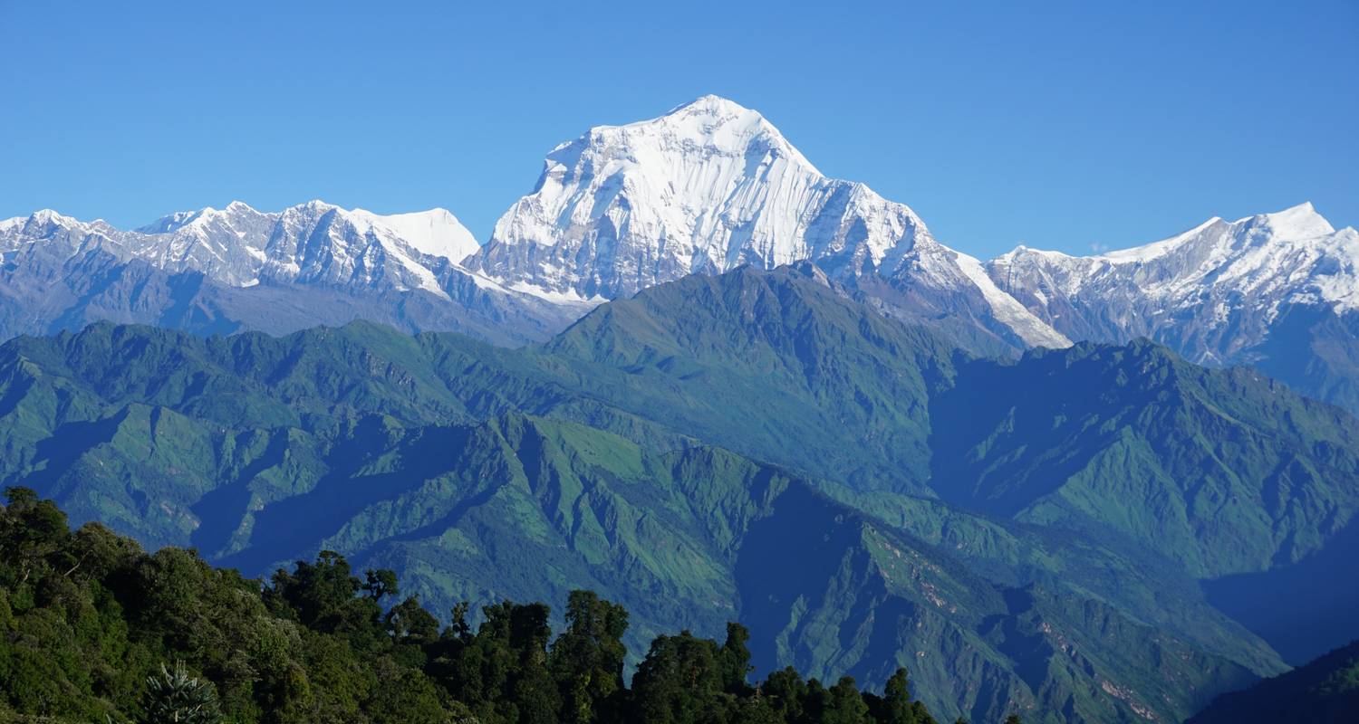 9 jours Trek du camp de base de l'Annapurna - Nepal Horizon Treks & Expedition Pvt.Ltd 