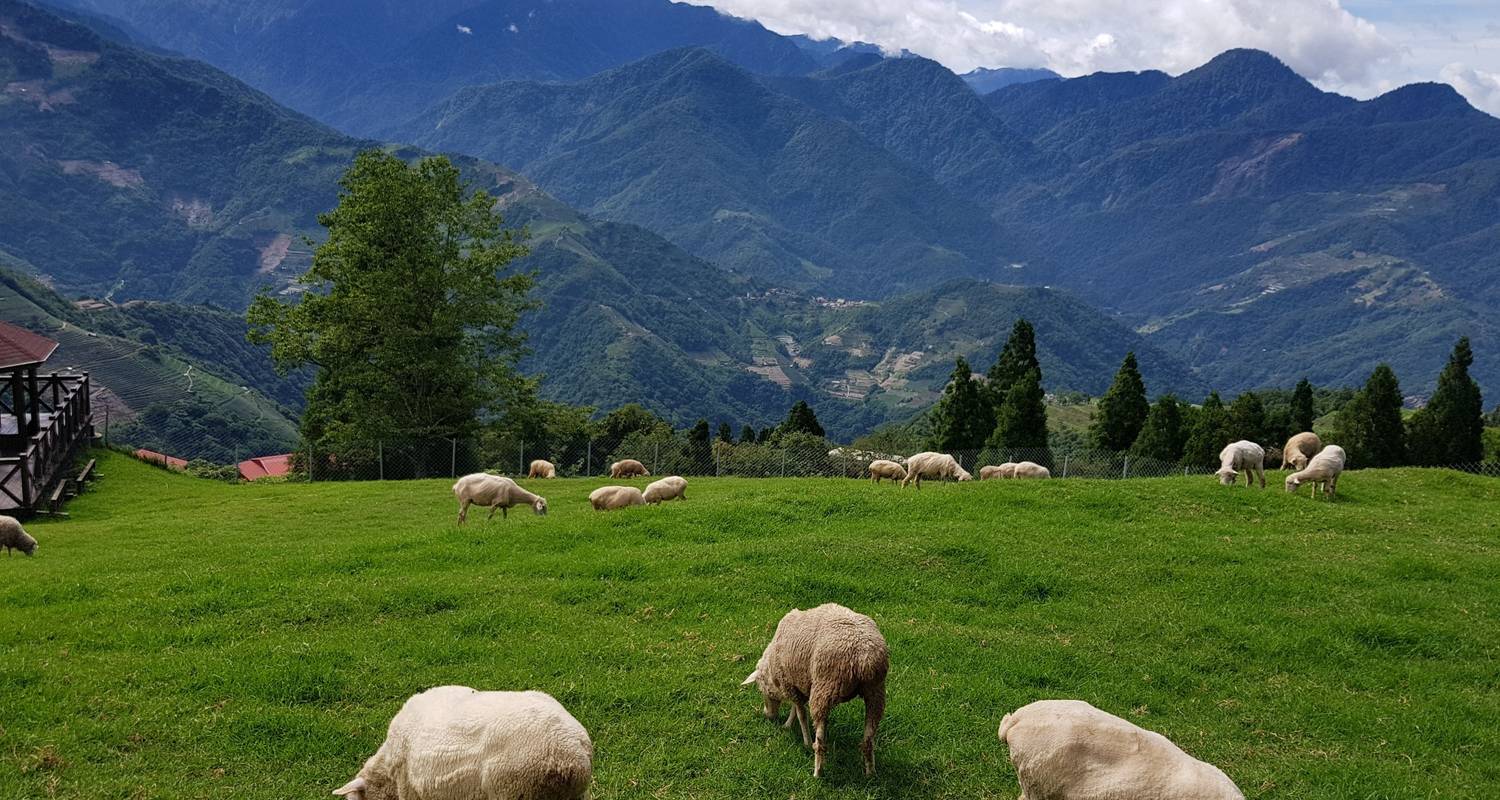 5-day Taiwan Family Fun Private Tour