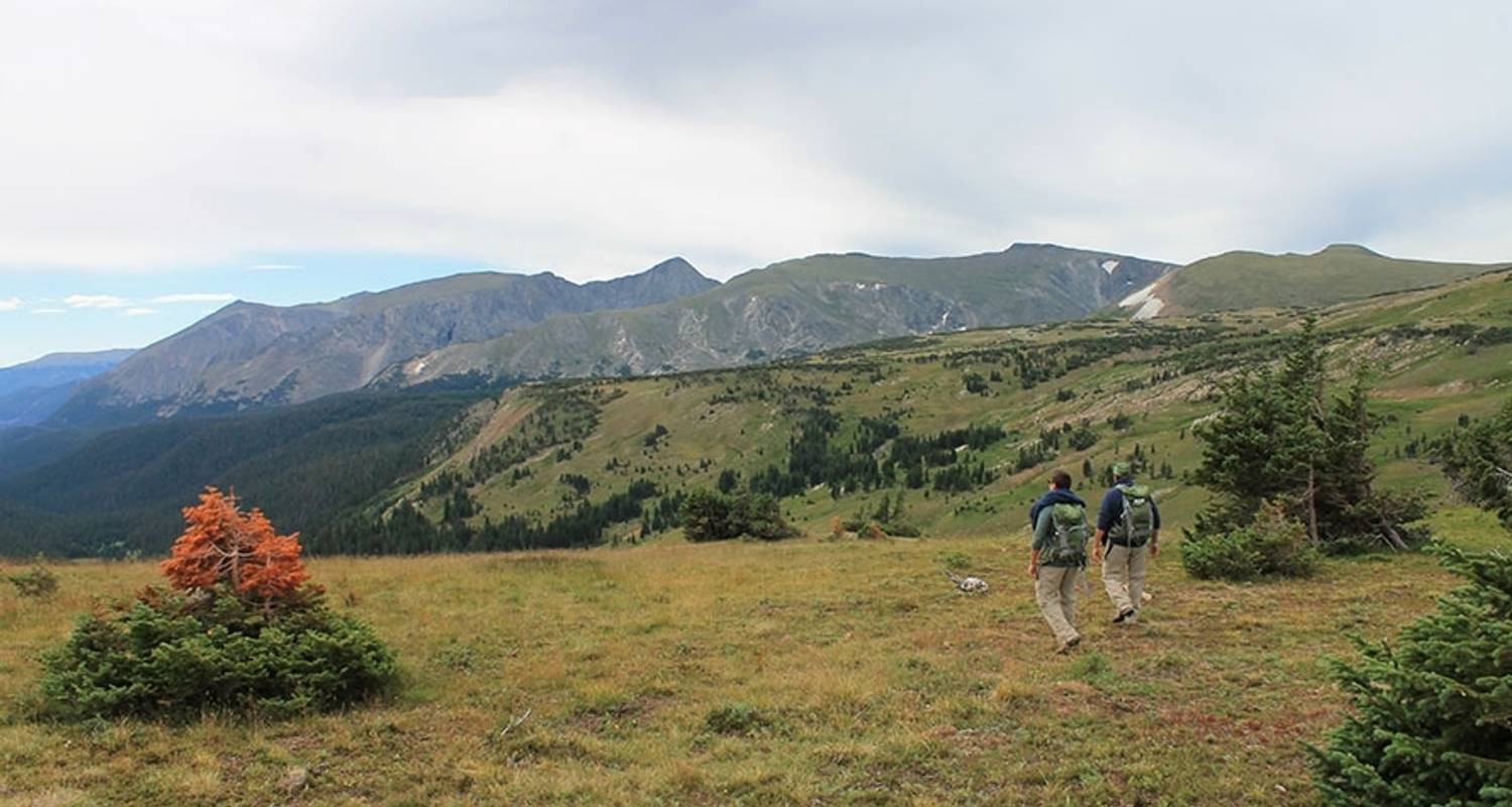 Circuito al campamento base del Parque Nacional de las Montañas Rocosas - Wildland Trekking