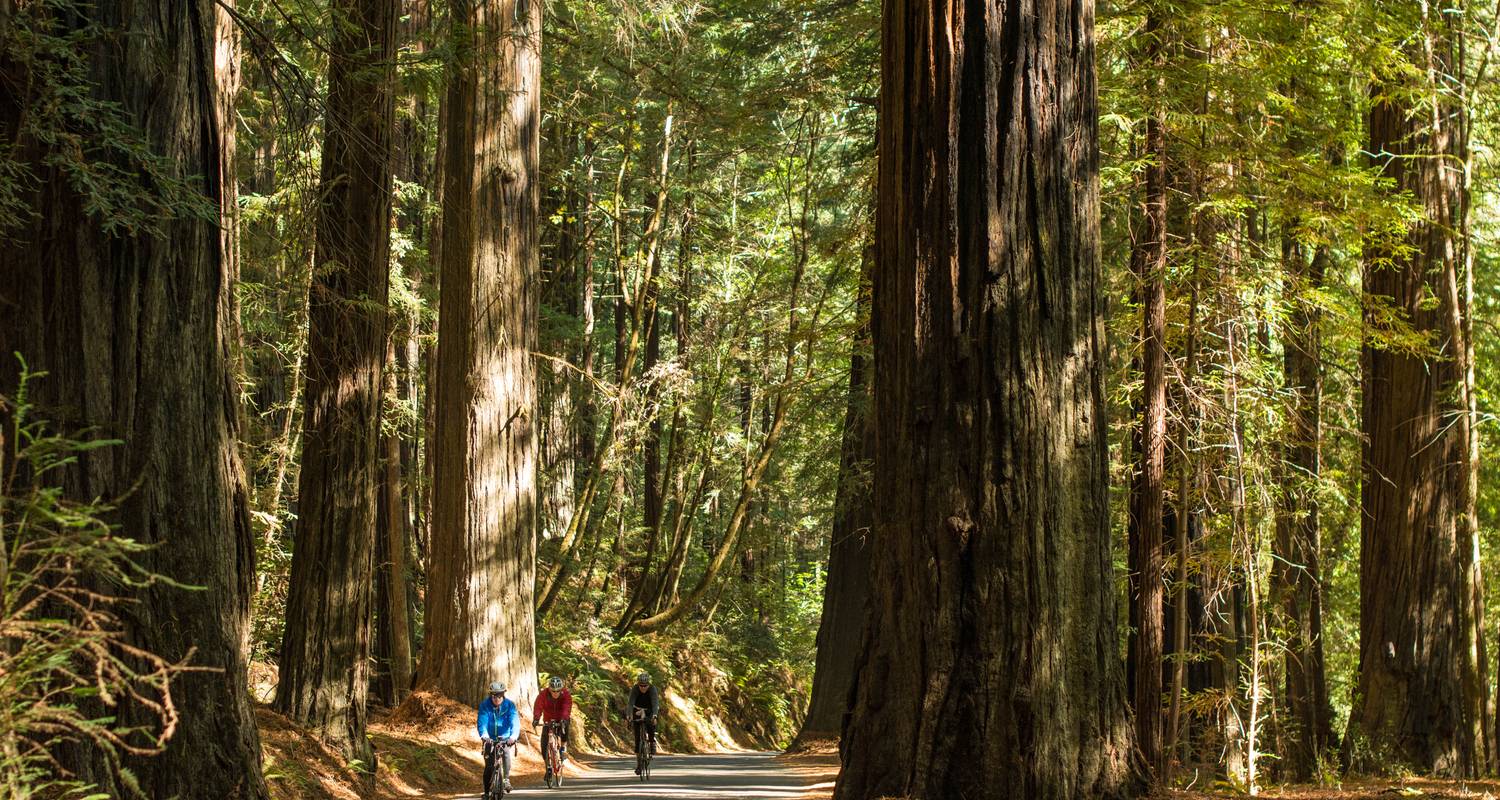 Excursión Multideporte Redwoods & Coast - Bicycle Adventures