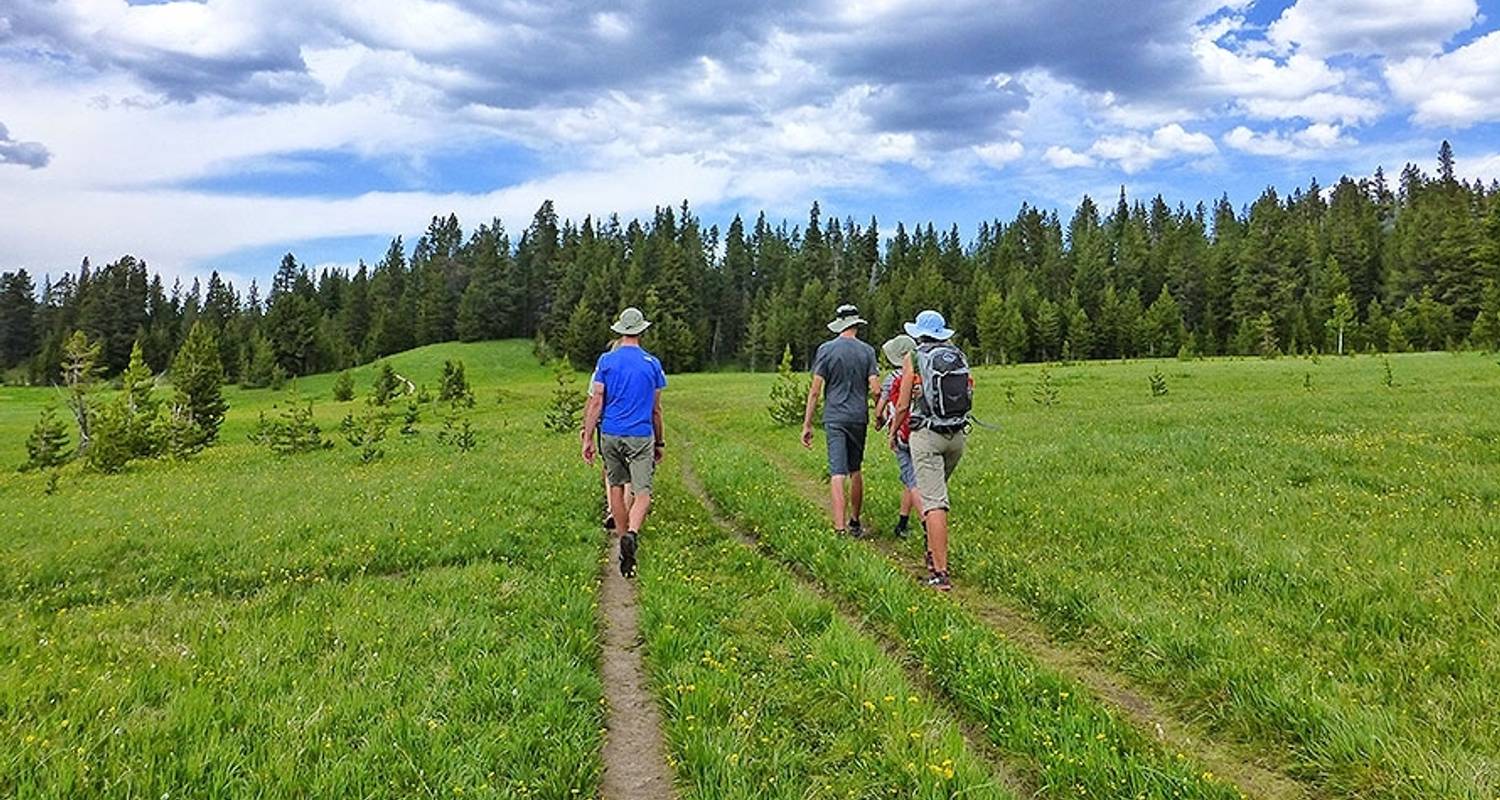 Wildland discount trekking yellowstone