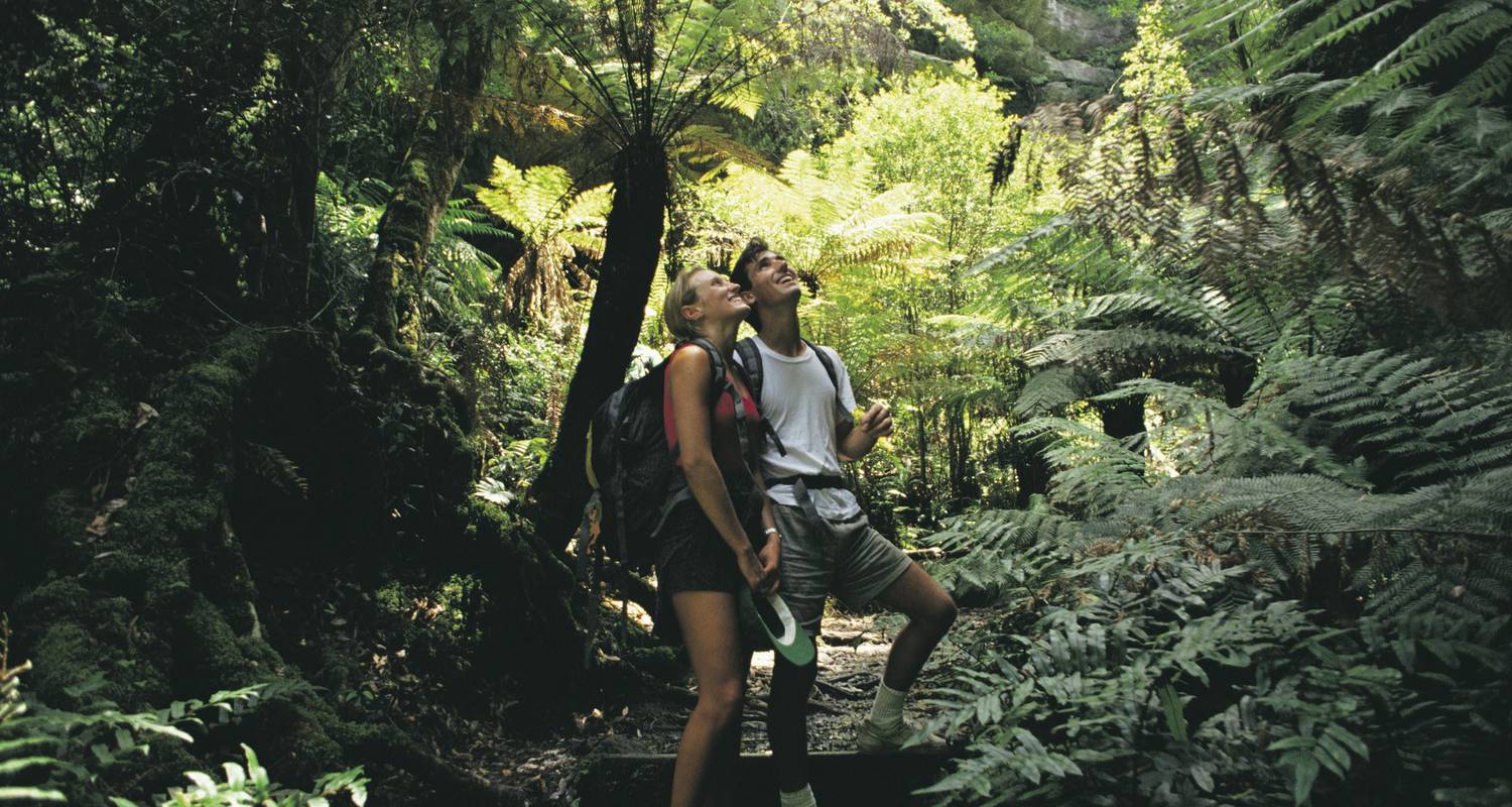 Blue Mountains Sunset Backpacker Tour 1 DAY by Wildlife Tours Australia