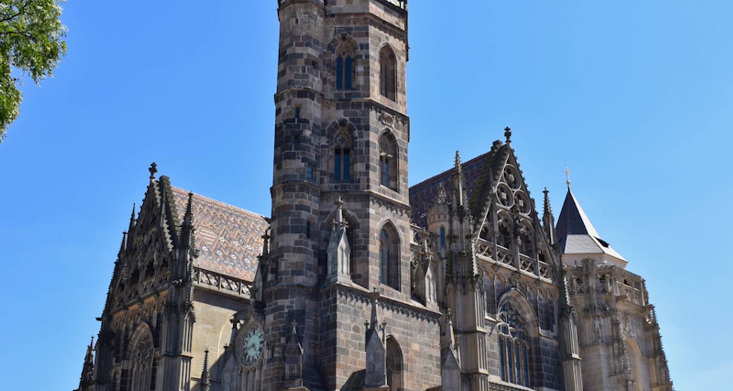 Wine tasting & Spa (small group minimum 2 people & maximum 8 people)