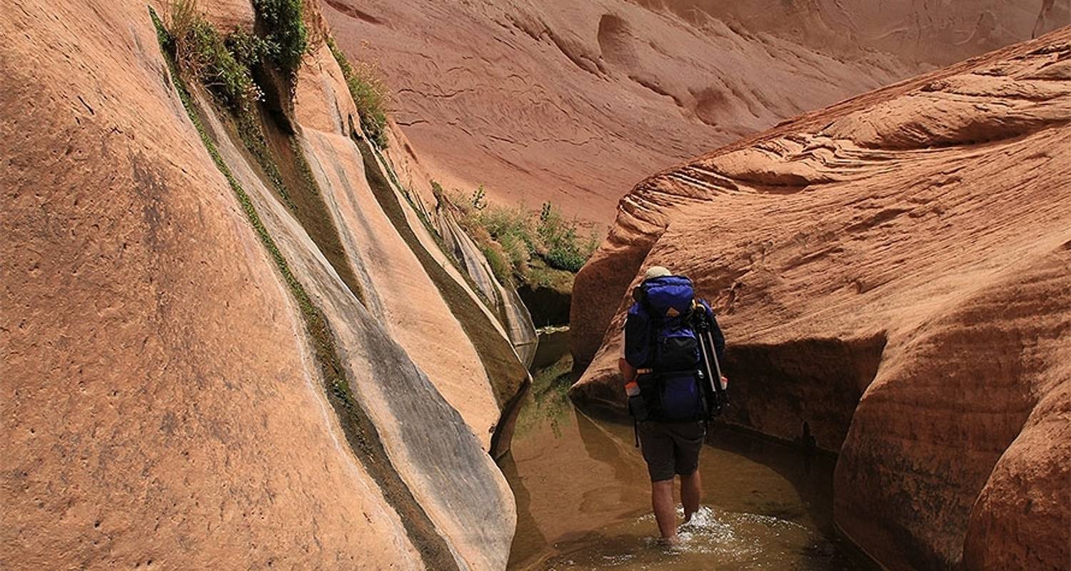 Capitol Reef Backpacking - Wildland Trekking