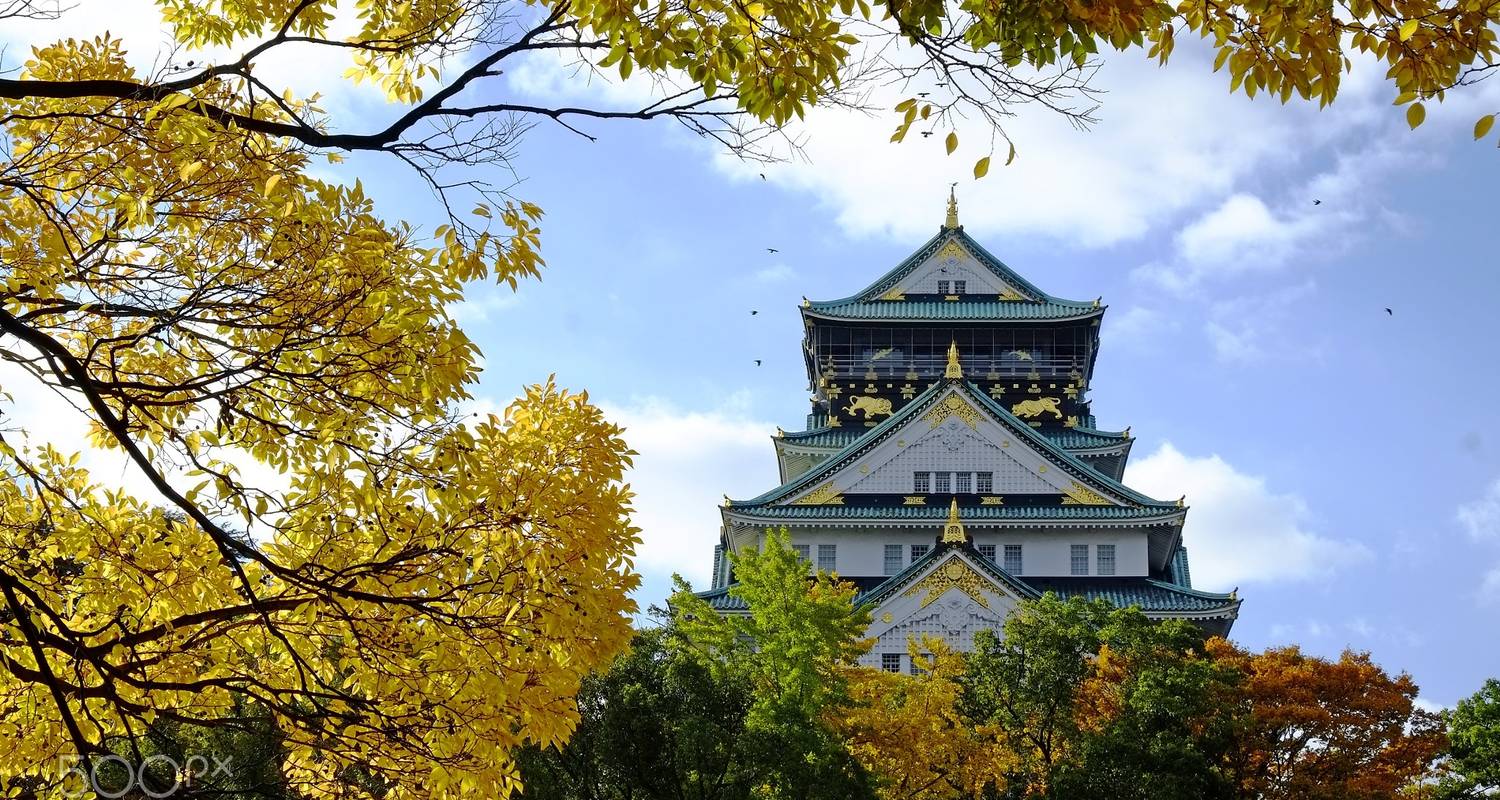 Cherry blossoms in Osaka to Tokyo travel
