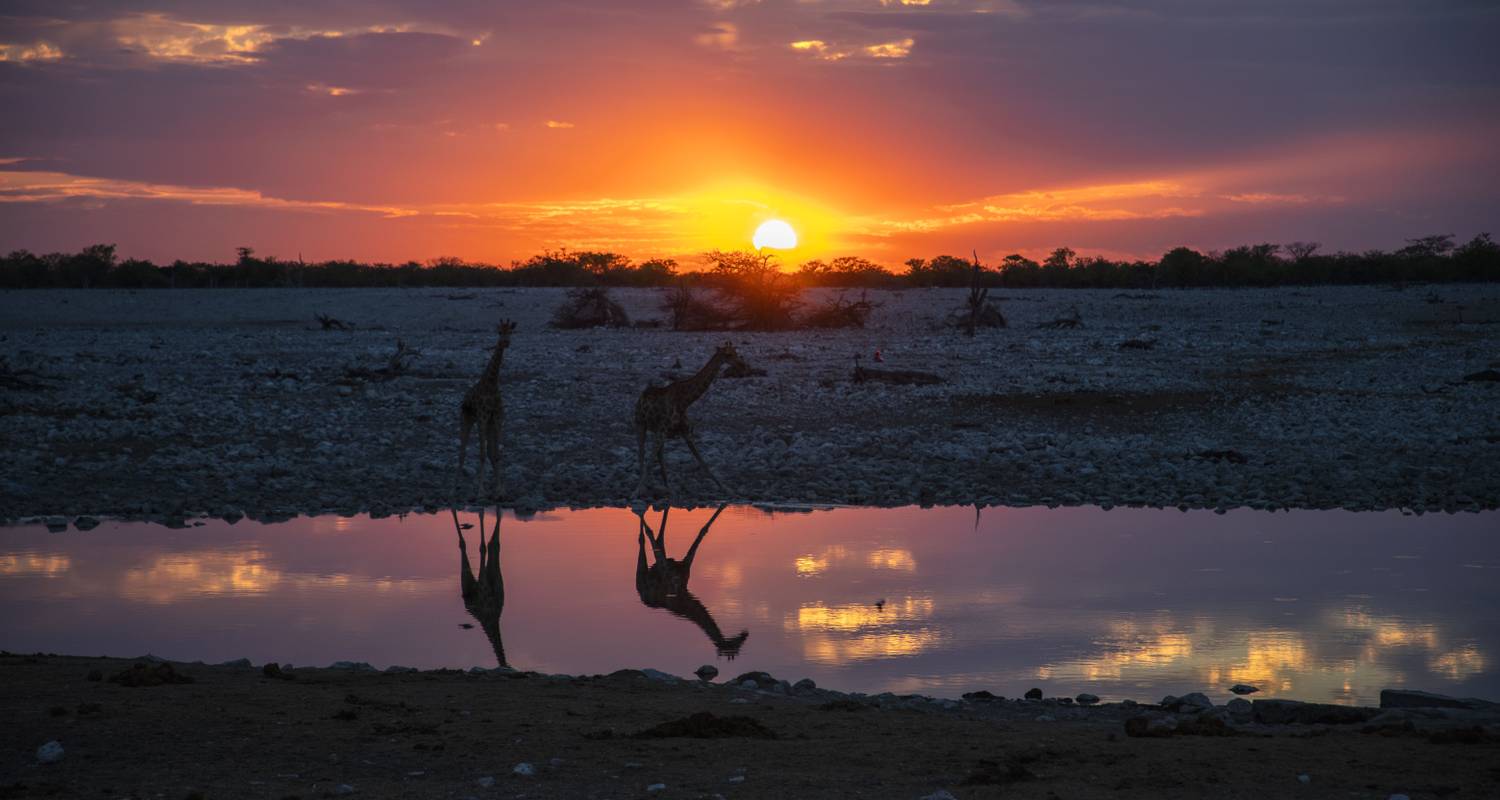 Familien-Safari-Abenteuer in Botswana und Simbabwe - Explore!