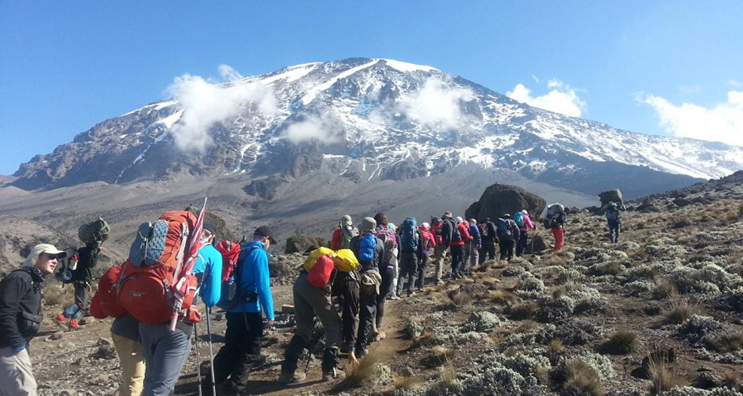 mount kilimanjaro guided tours