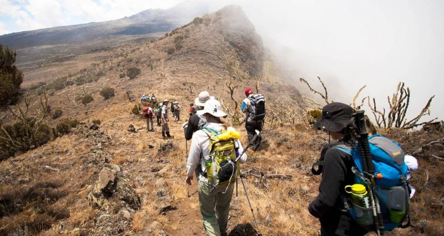 Kilimandscharo Machame Route - 7 Tage - Kilimanjaro Wonders Expedition Safari