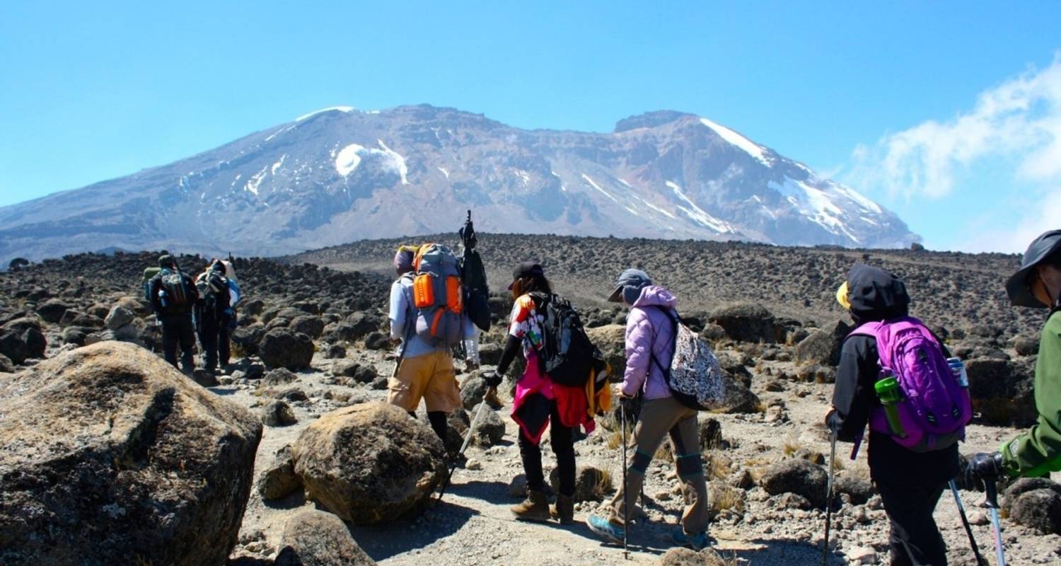 Kilimandscharo Radreise - 5 Tage - Kilimanjaro Wonders Expedition Safari