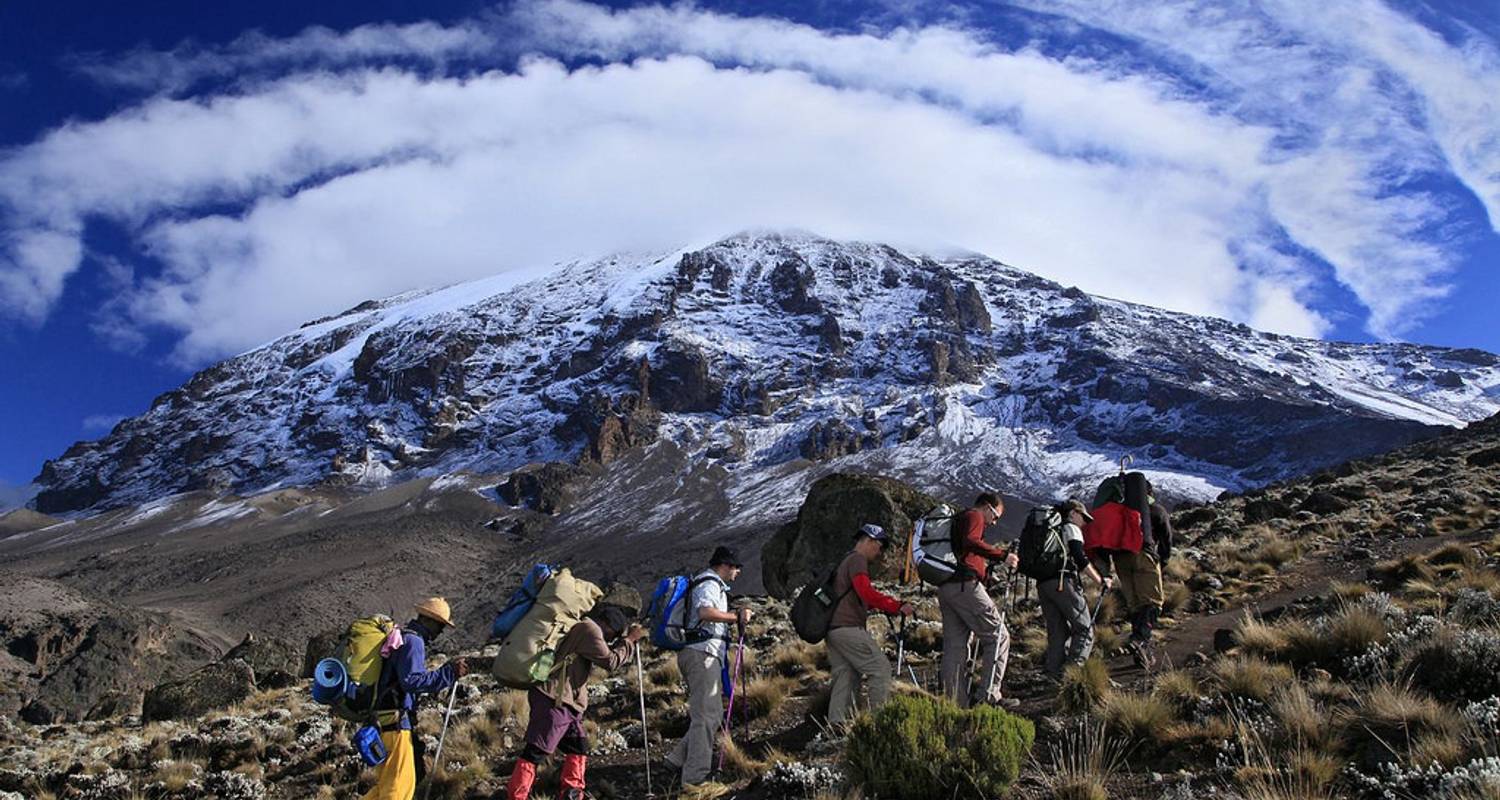 Trek Africa's Roof Top Kilimanjaro - GoExplore Safaris