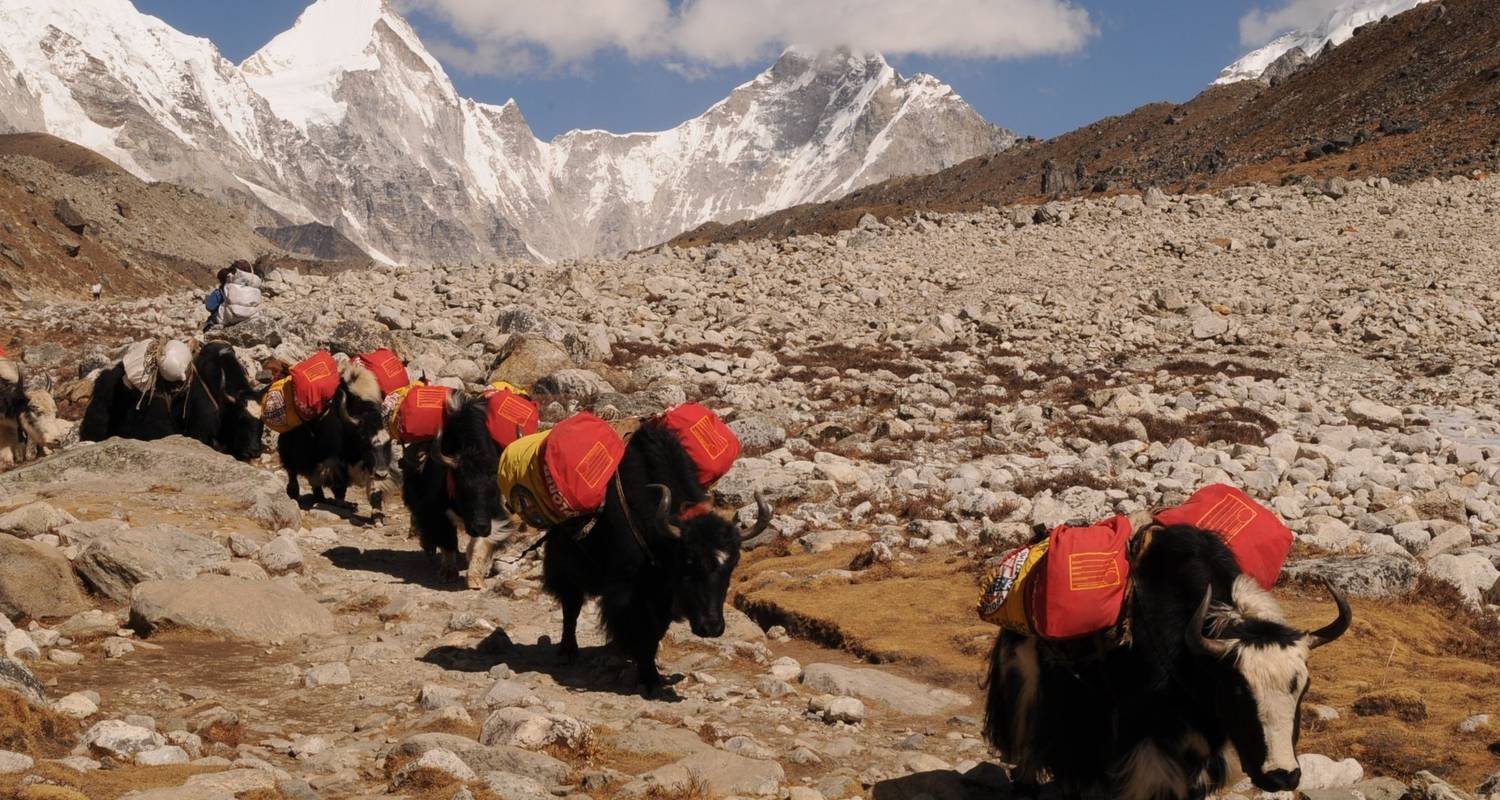 Everest Base Camp Luxus Trek - Alpine Eco Trek & Expedition Pvt. Ltd. 