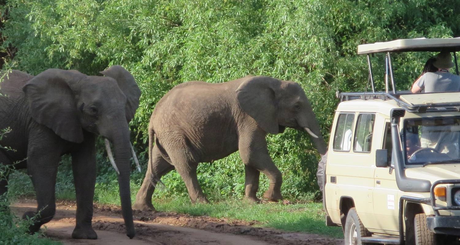 Safari en Tanzanie - 5 jours - Kilimanjaro Heroes Adventures