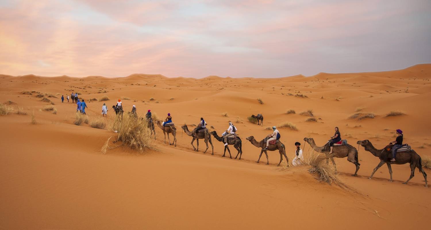 Overseas Adventure Travel Morocco 2025 Tours