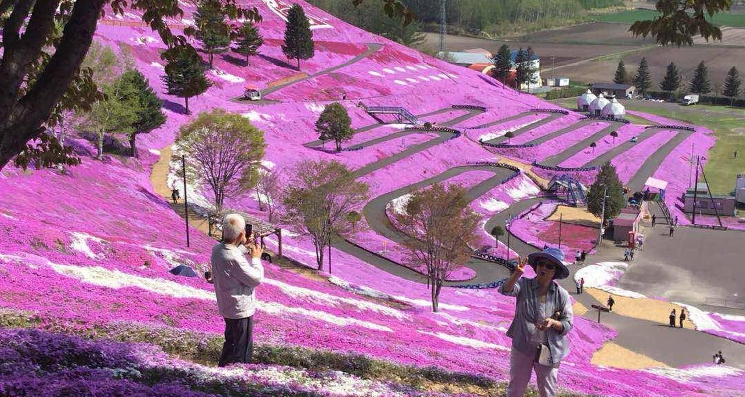 Cherry Blossom/Sakura Tours & Trips