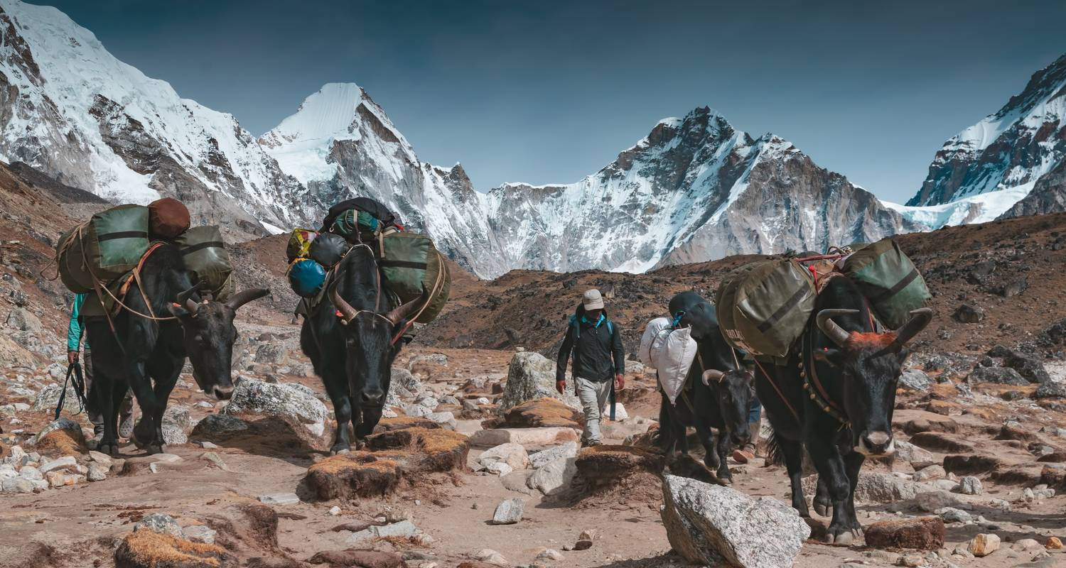 Campamento base del Everest vía lagos de Gokyo y paso de Chola - Explore Himalaya Travel & Adventure