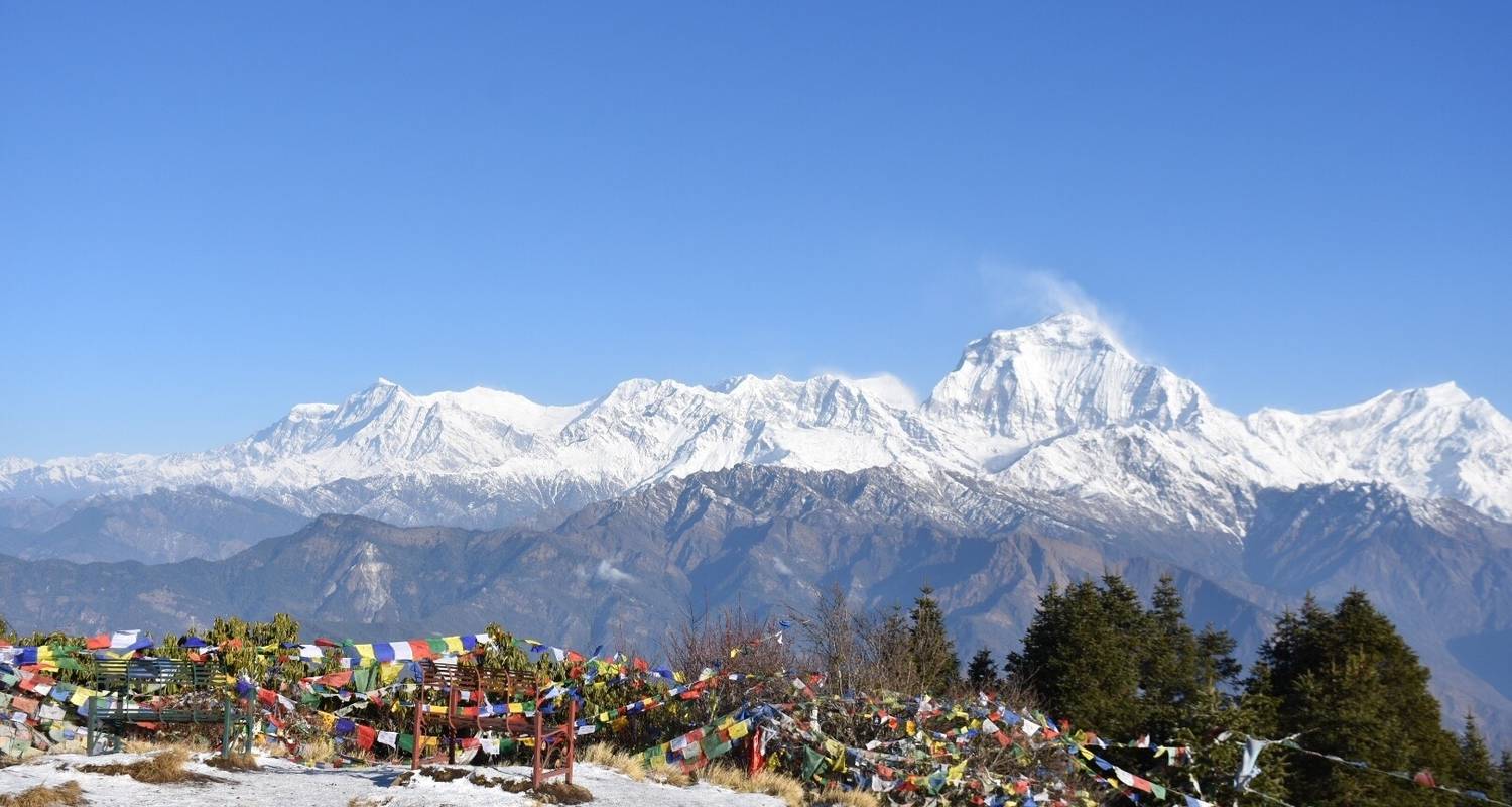 Ghorepani Poonhill Trek 08 jours | Trek facile au Népal - Scenic Nepal Treks & Expedition Pvt. Ltd