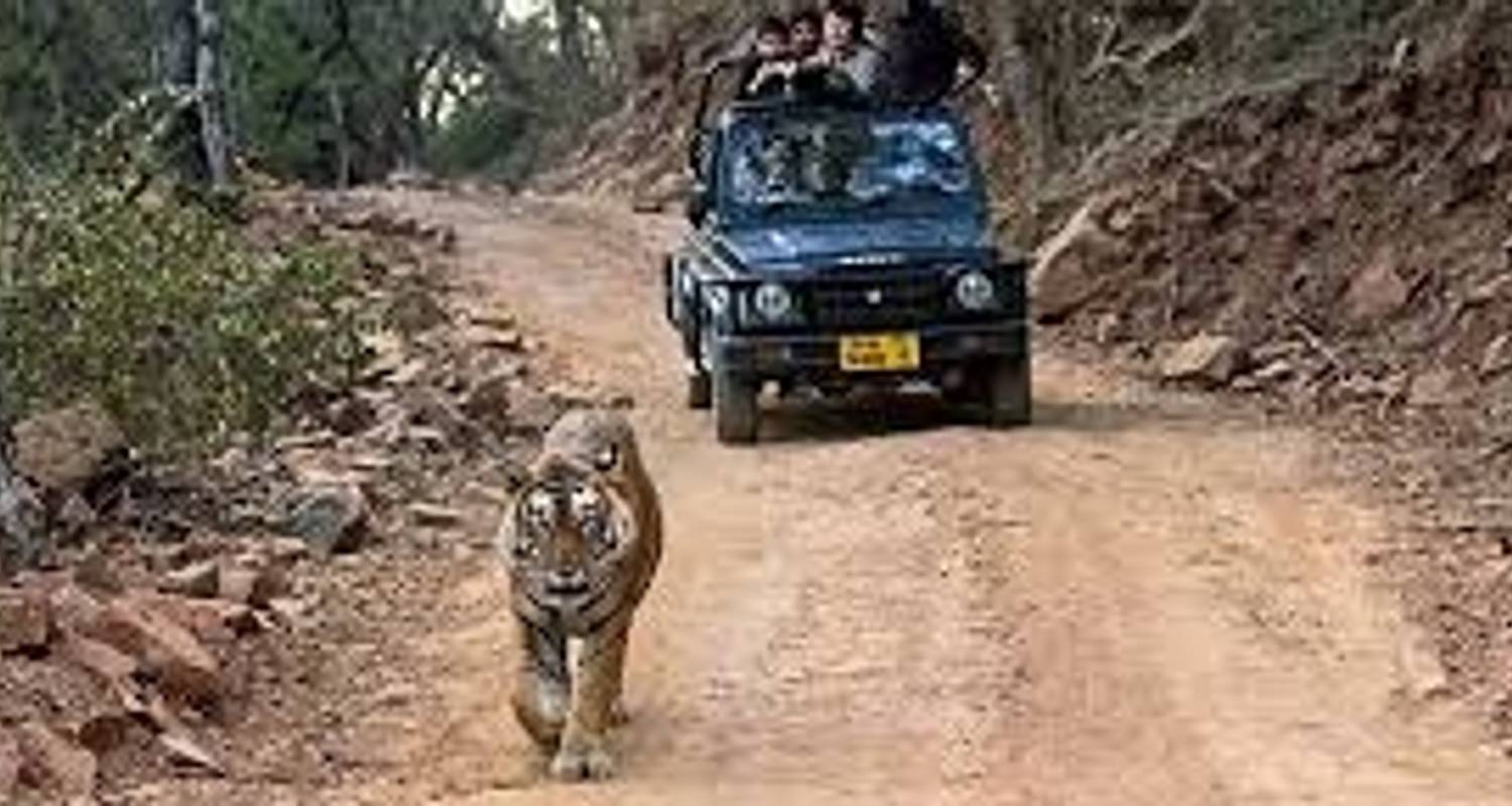 Goldenes Dreieck & Ranthambore Entdeckerreisen