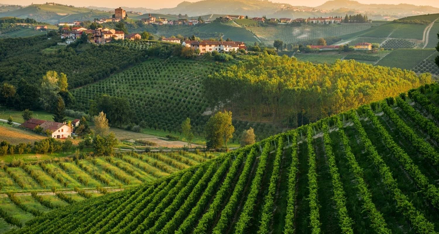 Vignobles du Piémont et mer Ligure - Circuit à vélo en petit groupe - Road Bike Tours Italy