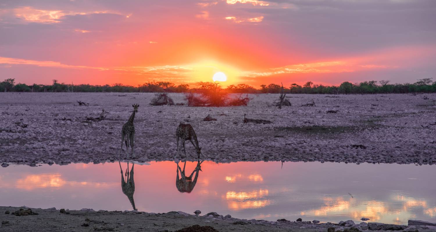 Namibia en bruto - Crooked Compass