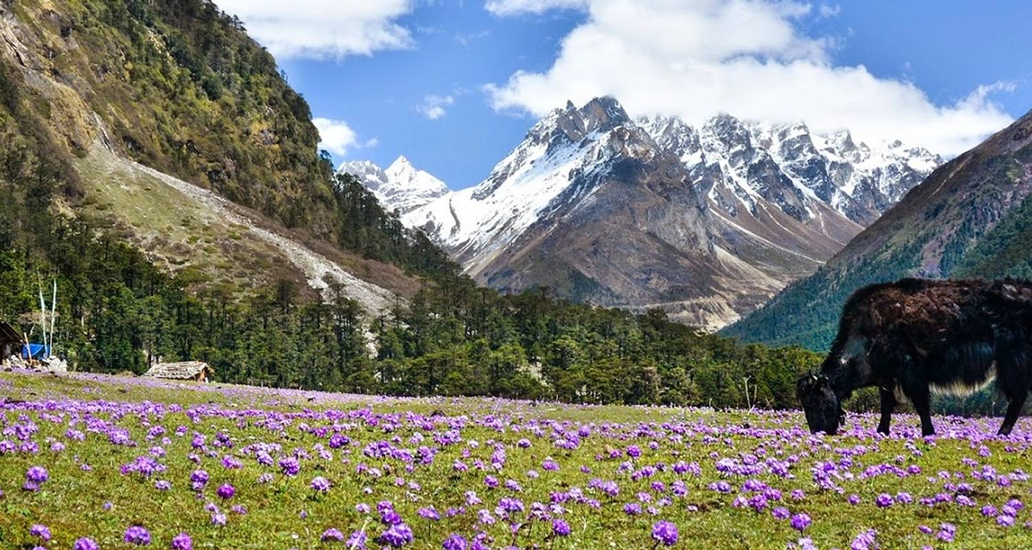 Lokaal Wonen Rondreizen in Himalaya Gebergte