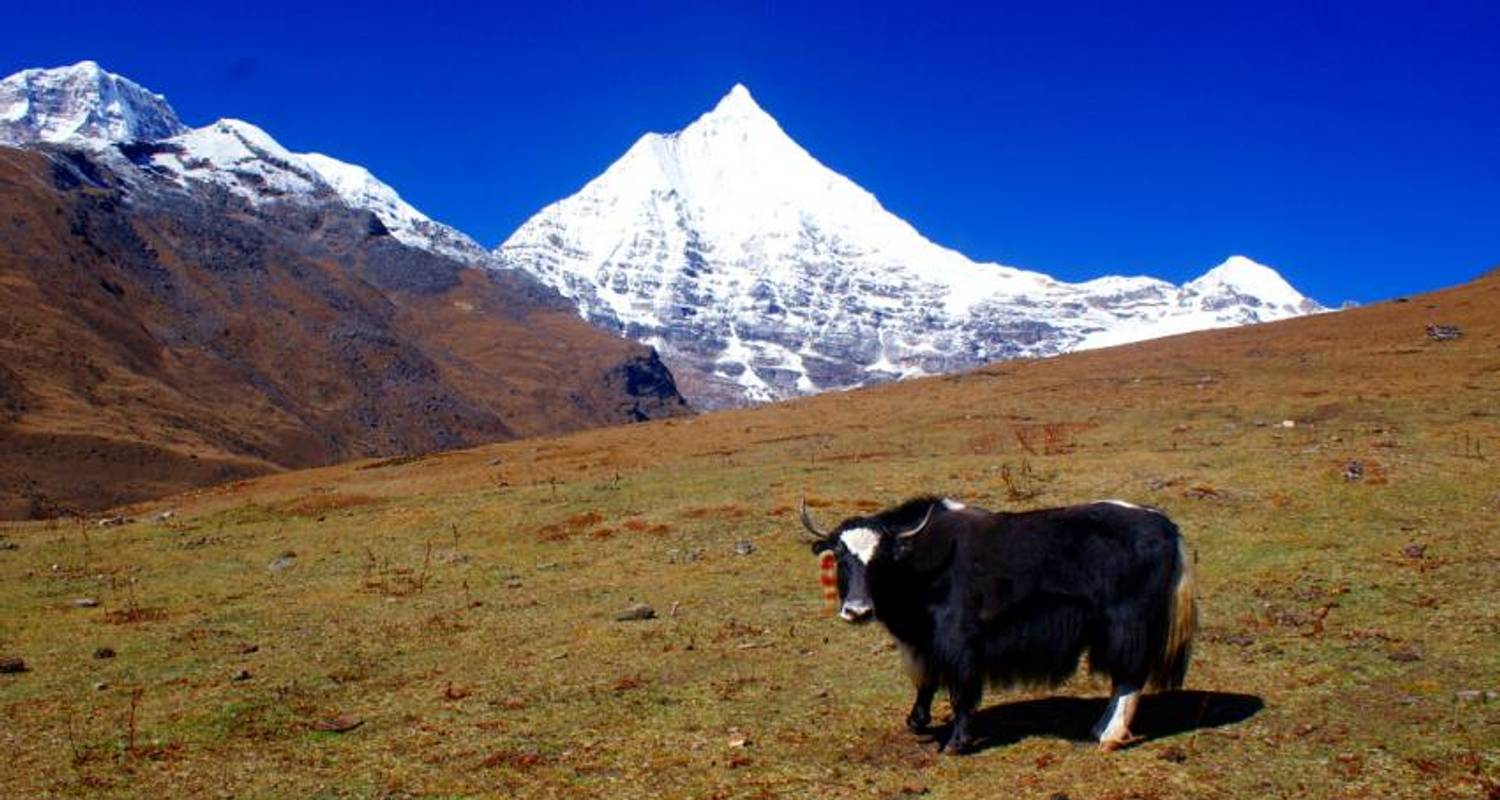 Druk Pfad Wanderung mit kulturellen Höhepunkten - 10 Tage - Adventure Himalayan Travels