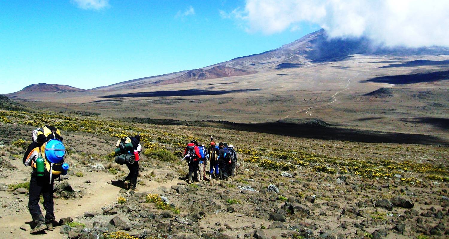 Kilimanjaro Climb-Rongai Route  6 Days 5 Nights - Migration Venture Africa 
