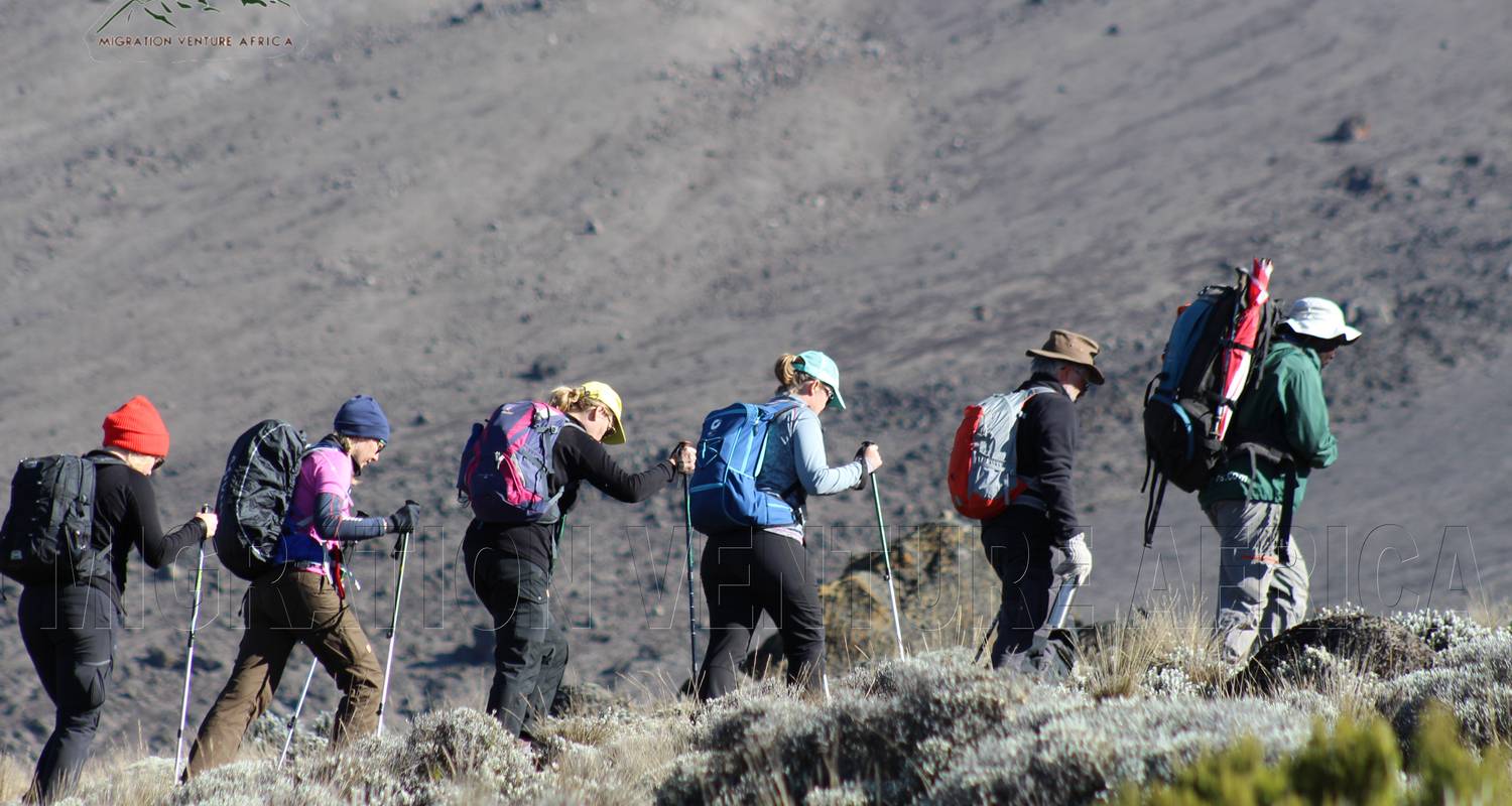 Kilimanjaro Climb-Rongai Route  6 Days 5 Nights - Migration Venture Africa 