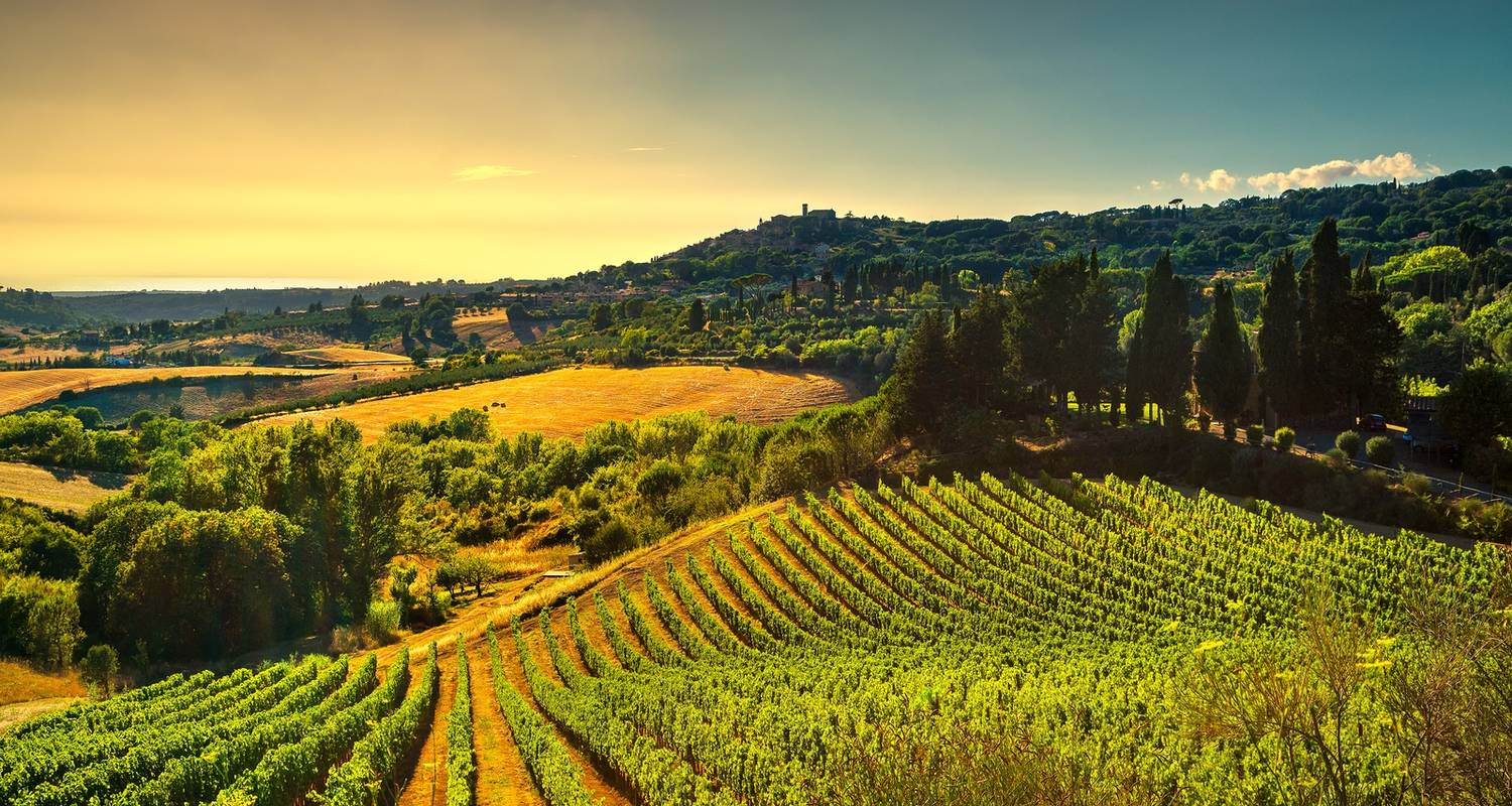 best private wine tour tuscany