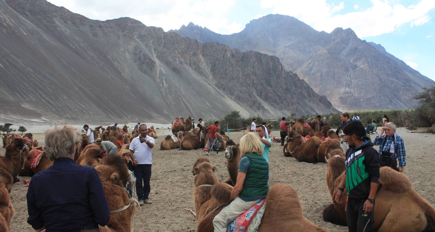 14 dagen Ladakh Reis  – Kroonjuwelen - Shimla Walks