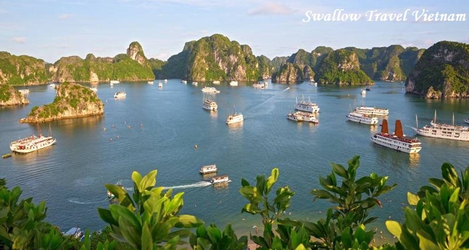 Le meilleur du Vietnam en 16 jours - Swallow Travel