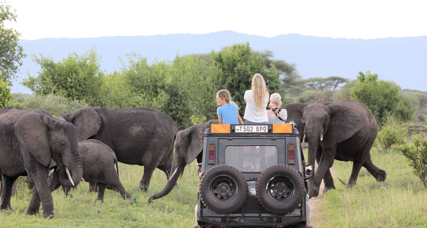 3 Jours 2 Nuits Parc National Nyerere Lodge Safari - Migration Venture Africa