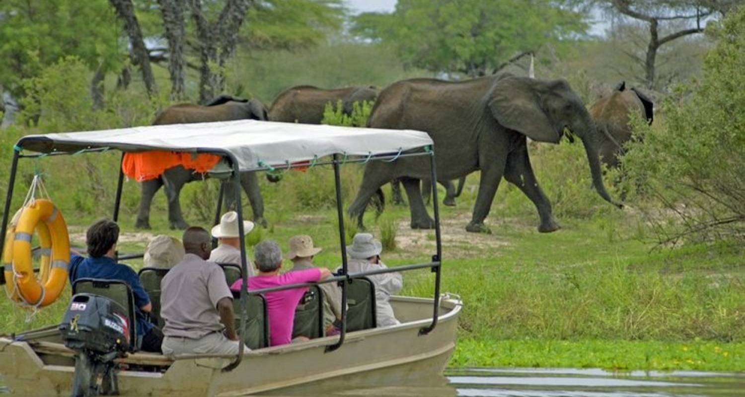 Safari de 3 días y 2 noches en el Albergue del Parque Nacional Nyerere - Migration Venture Africa 