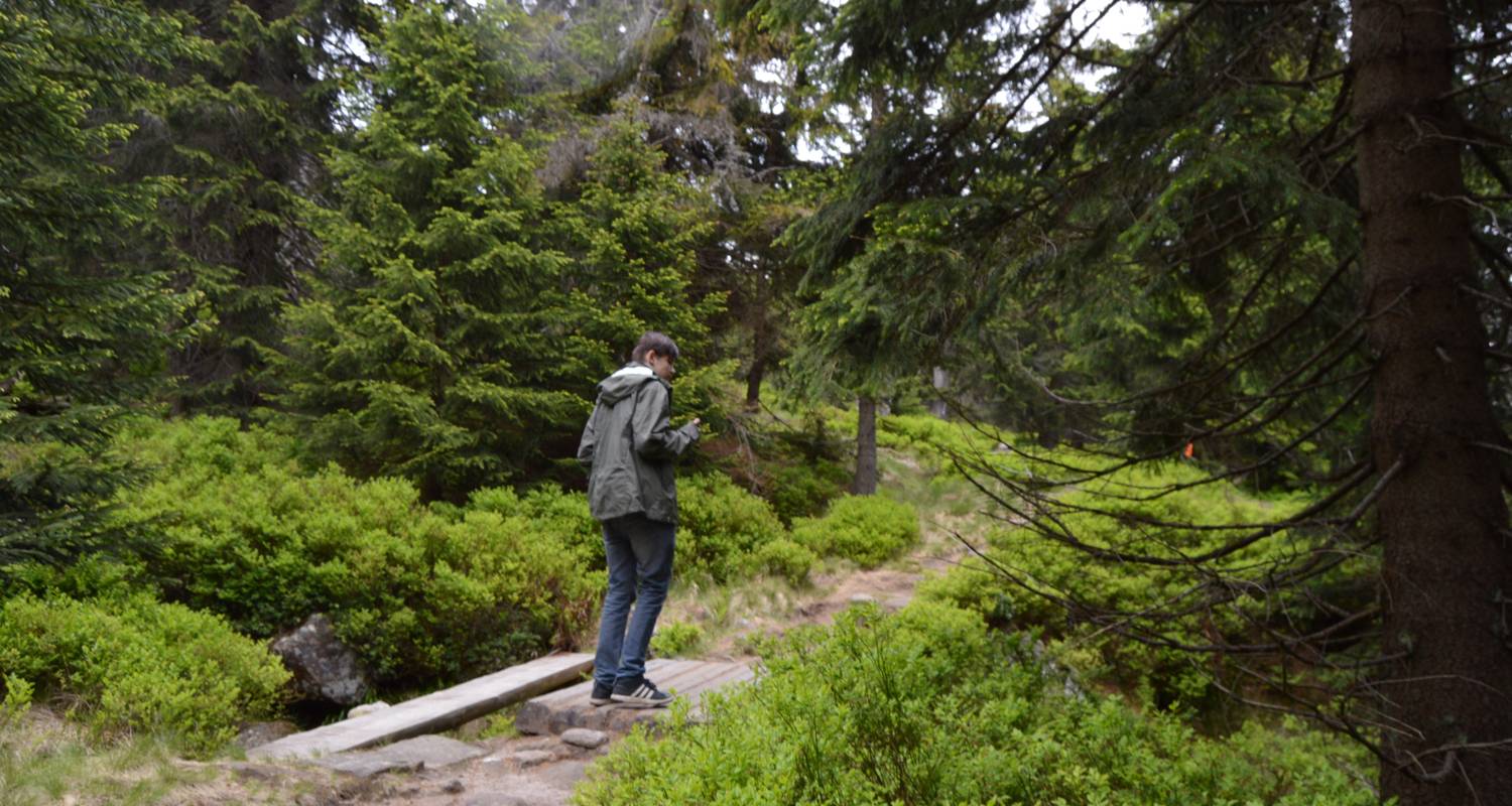 Hiking through Giant Mountains - Czechwalks