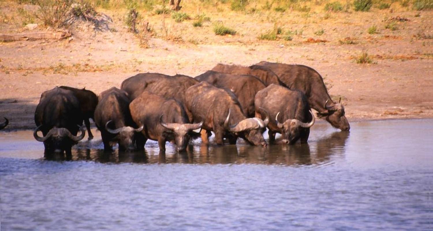 4 Days Victoria Falls Adventure and Hwange Safari - Little Roz Tours