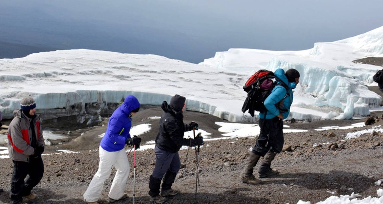 Escalada al Kilimanjaro 8 días / 7 noches - ruta Lemosho - Lappet Faced Safaris